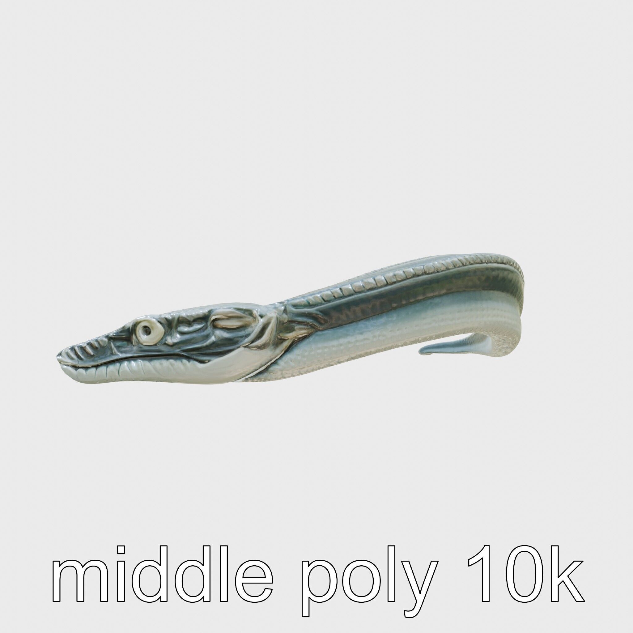 Sea Serpent with Elongated Body 3D Model Low-poly 3D model_18