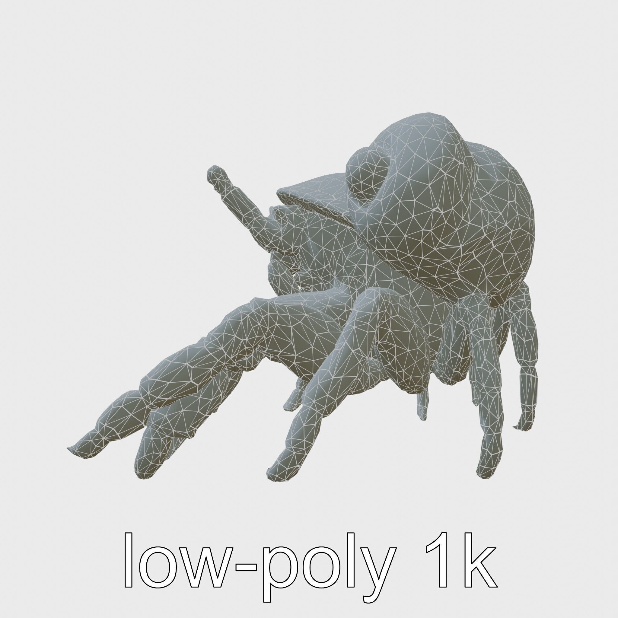 Realistic Hermit Crab with Borrowed Shell 3D Model Low-poly 3D model_18