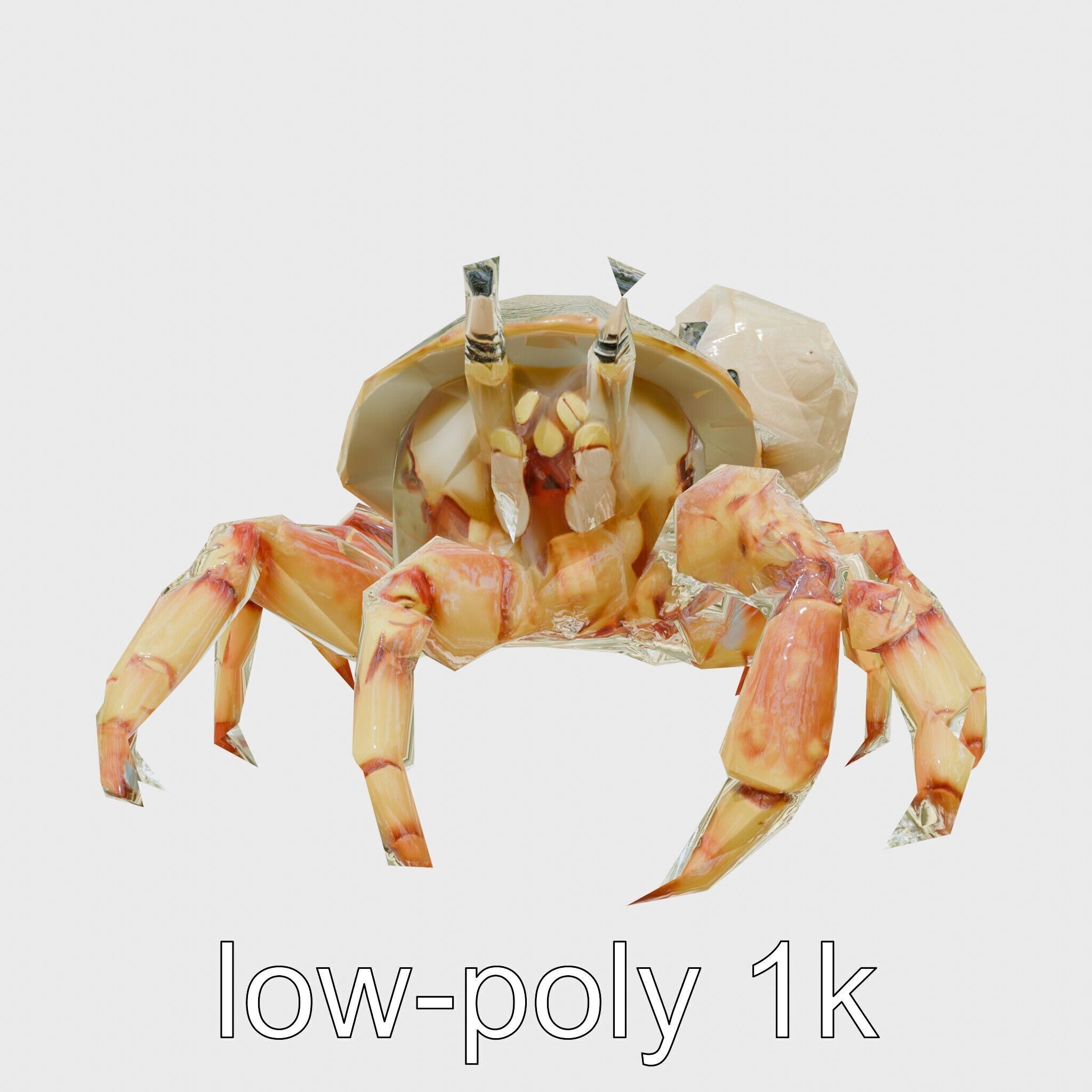 Realistic Hermit Crab with Borrowed Shell 3D Model Low-poly 3D model_14