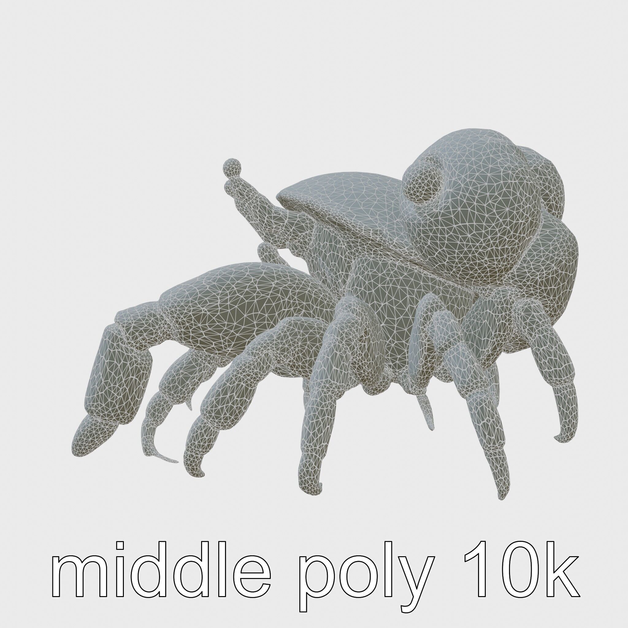 Realistic Hermit Crab with Borrowed Shell 3D Model Low-poly 3D model_5