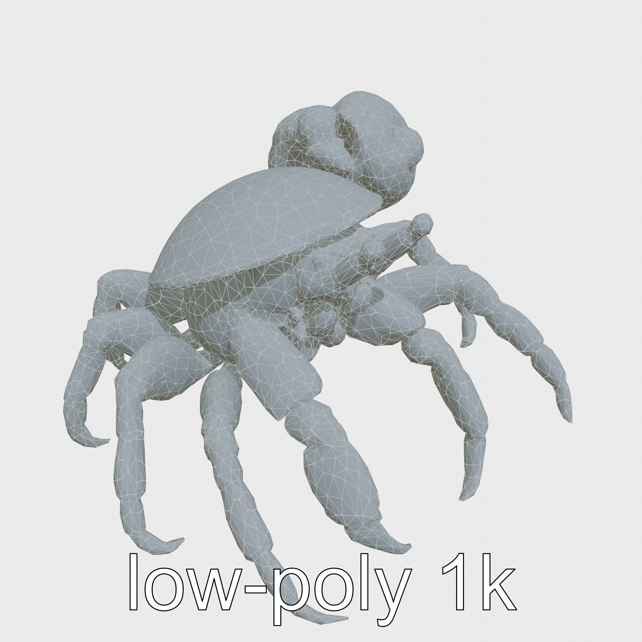 Realistic Hermit Crab with Borrowed Shell 3D Model Low-poly 3D model_21