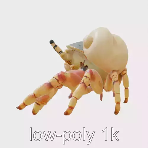 Realistic Hermit Crab with Borrowed Shell 3D Model Low-poly 3D model