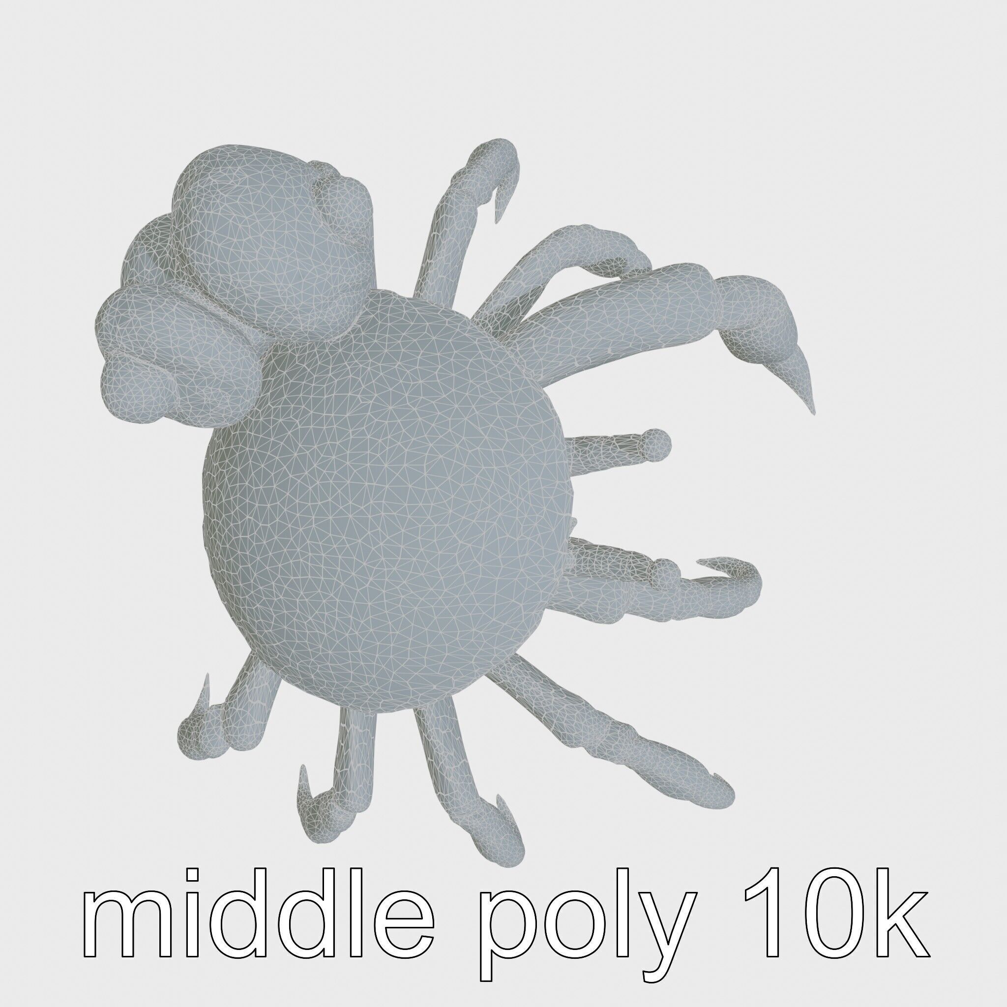 Realistic Hermit Crab with Borrowed Shell 3D Model Low-poly 3D model_16