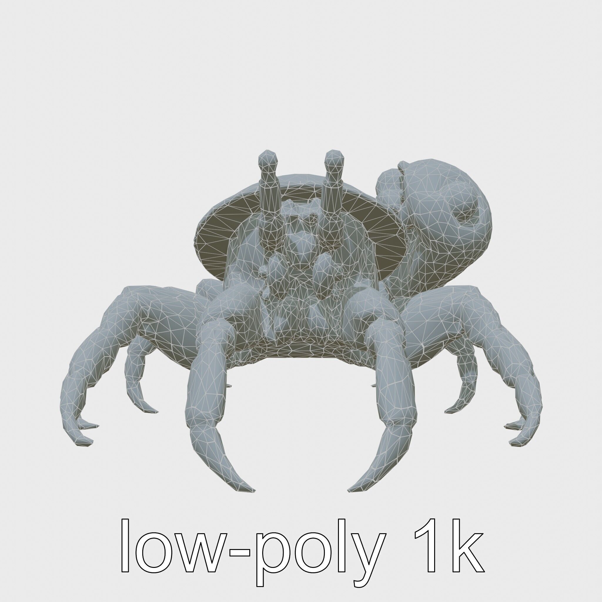 Realistic Hermit Crab with Borrowed Shell 3D Model Low-poly 3D model_9