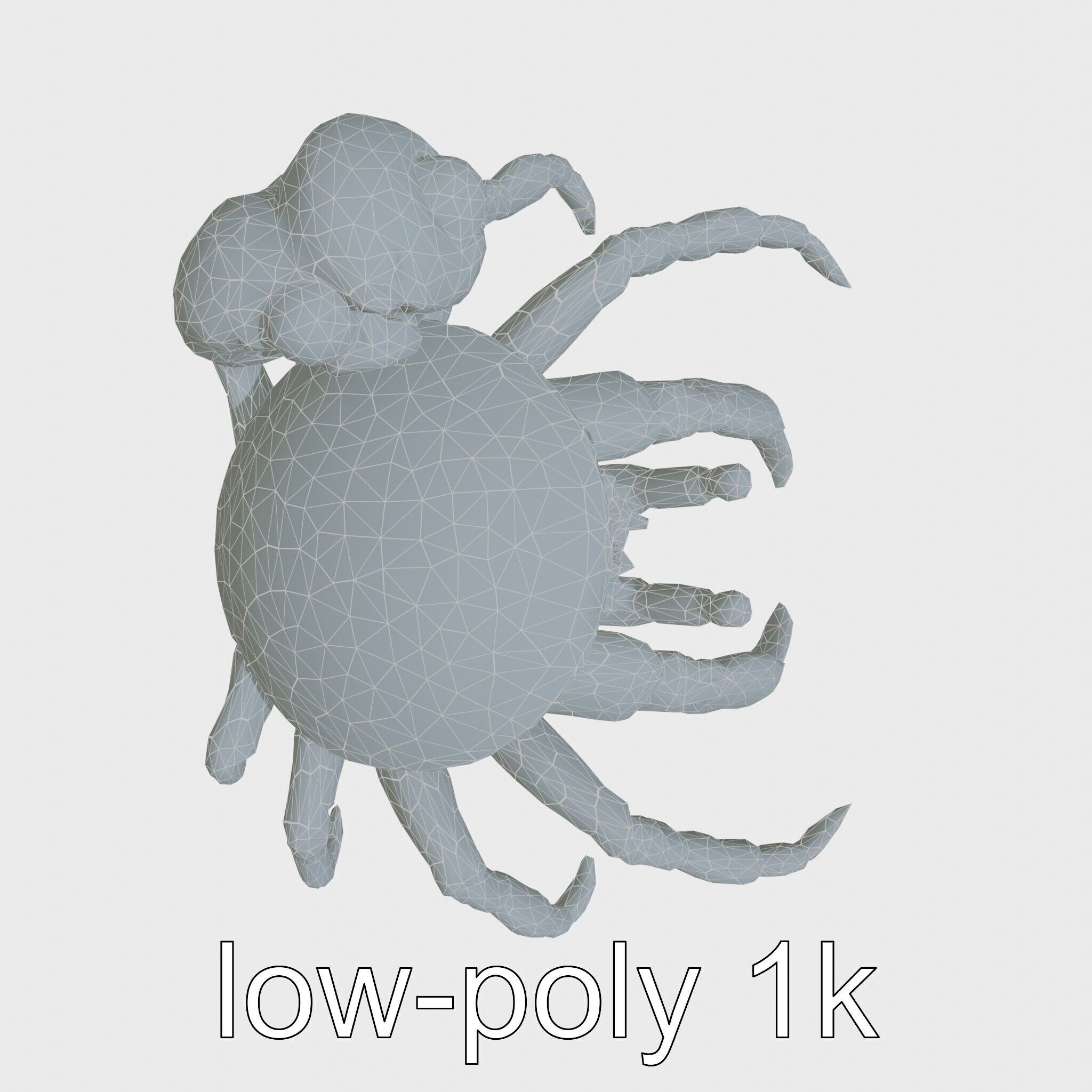Realistic Hermit Crab with Borrowed Shell 3D Model Low-poly 3D model_17