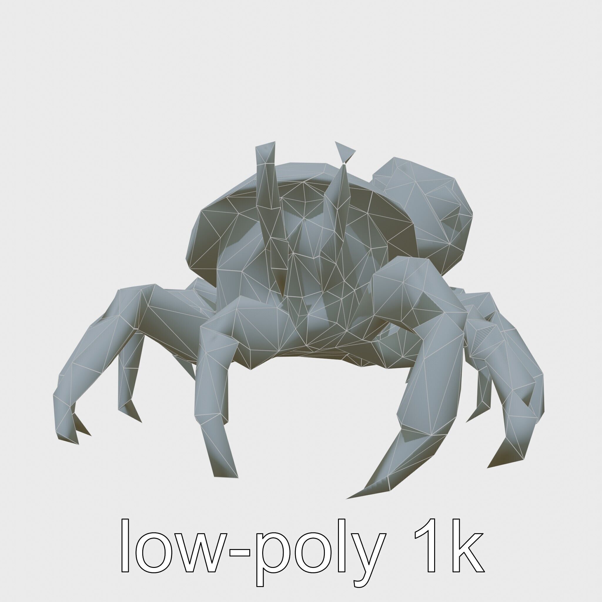 Realistic Hermit Crab with Borrowed Shell 3D Model Low-poly 3D model_27