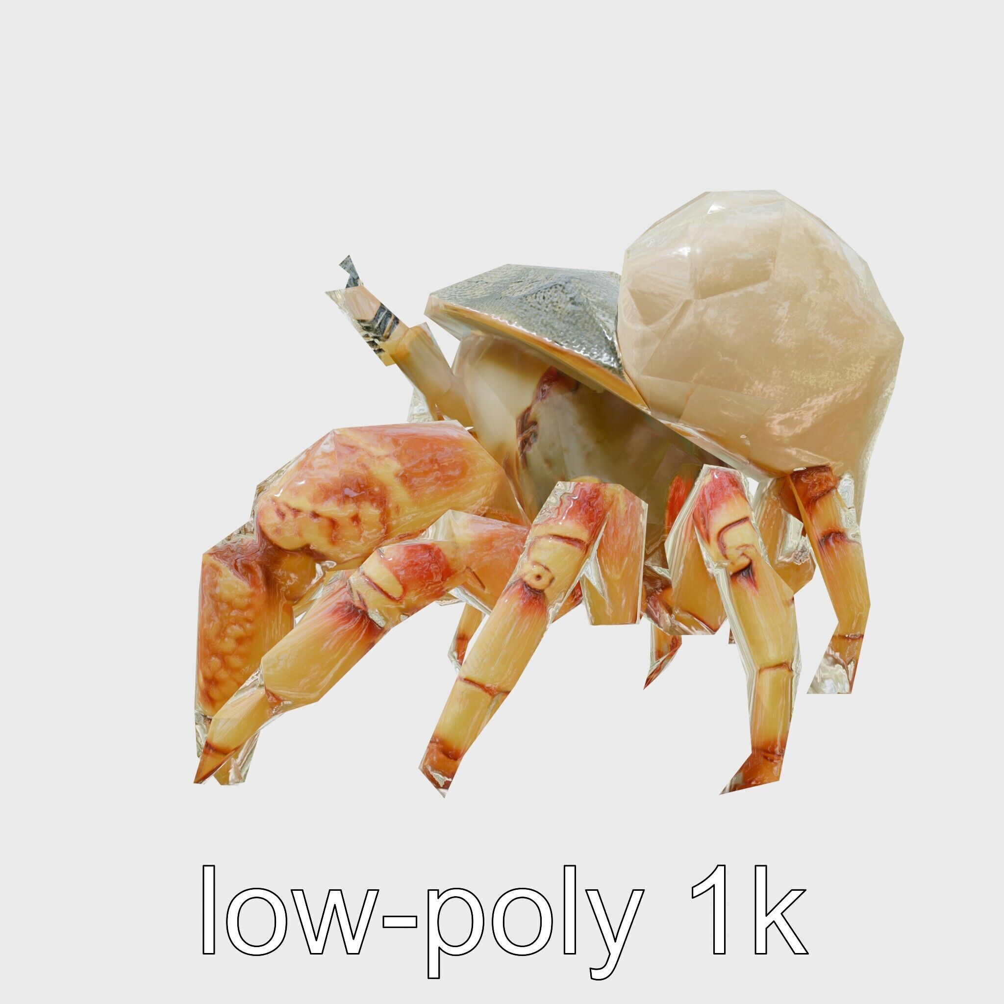 Realistic Hermit Crab with Borrowed Shell 3D Model Low-poly 3D model_4