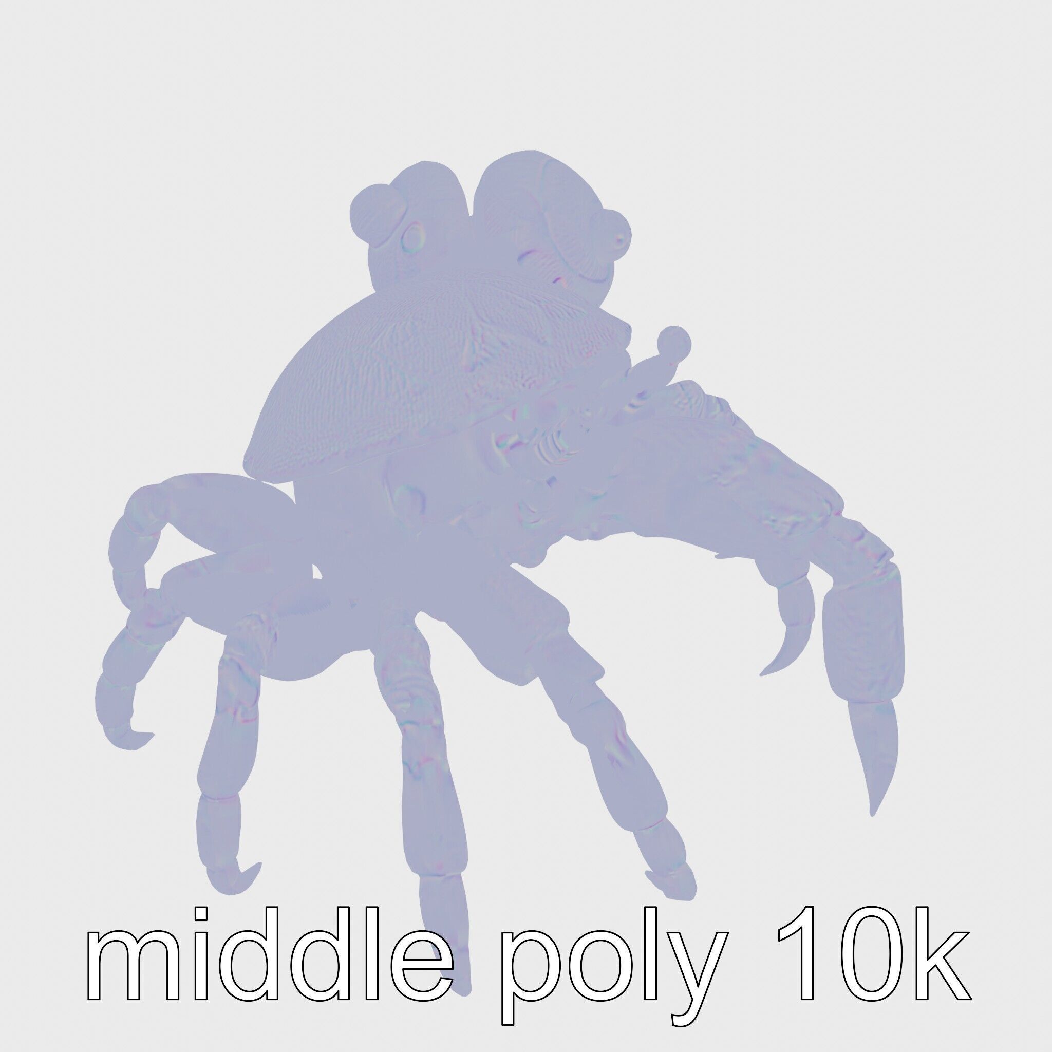 Realistic Hermit Crab with Borrowed Shell 3D Model Low-poly 3D model_23