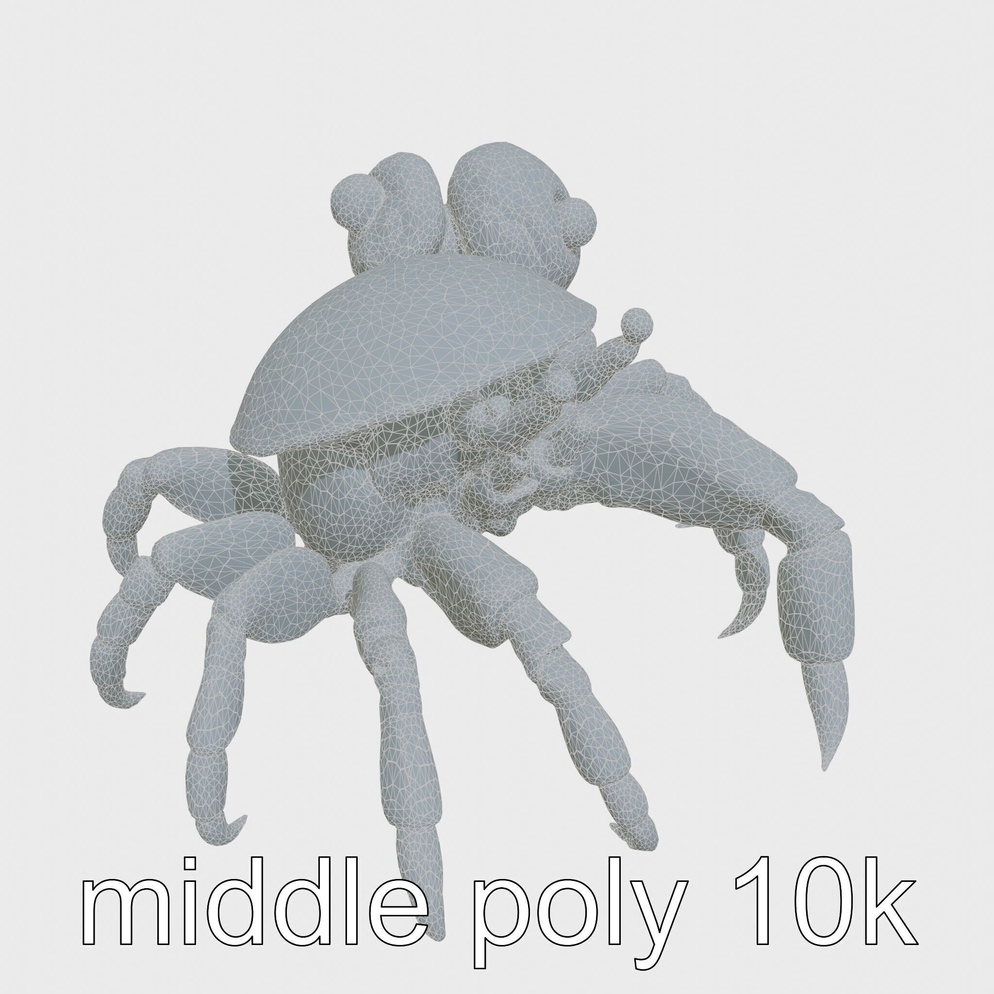 Realistic Hermit Crab with Borrowed Shell 3D Model Low-poly 3D model_15