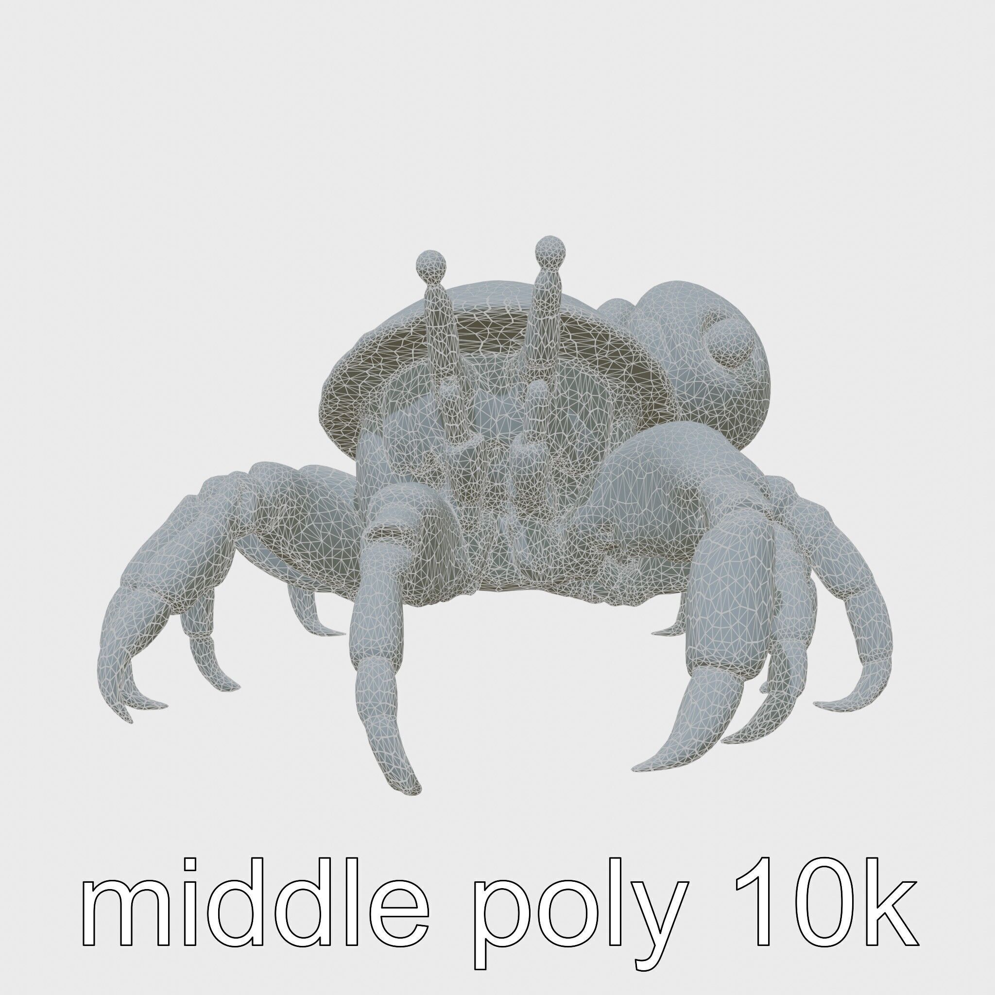 Realistic Hermit Crab with Borrowed Shell 3D Model Low-poly 3D model_29