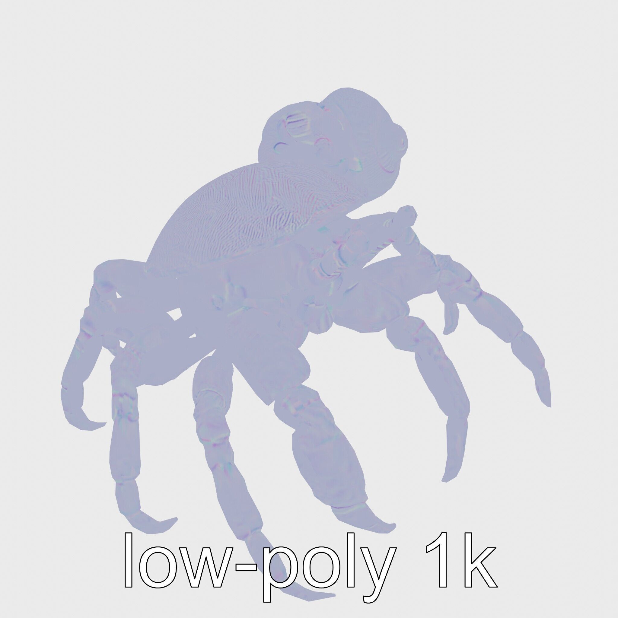 Realistic Hermit Crab with Borrowed Shell 3D Model Low-poly 3D model_20