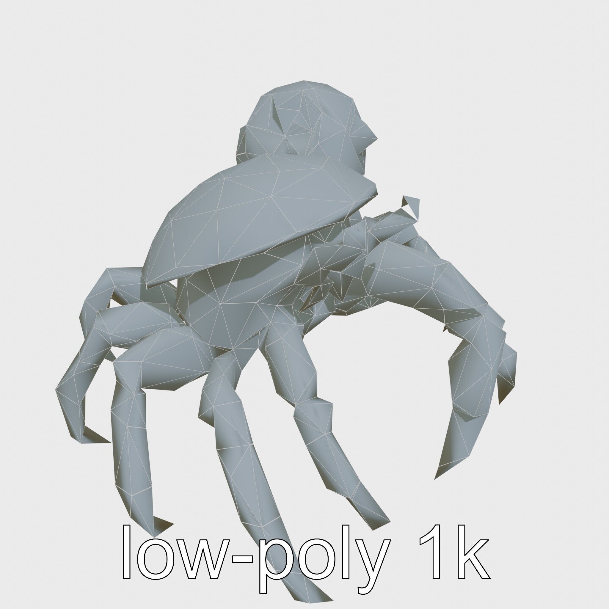 Realistic Hermit Crab with Borrowed Shell 3D Model Low-poly 3D model_26