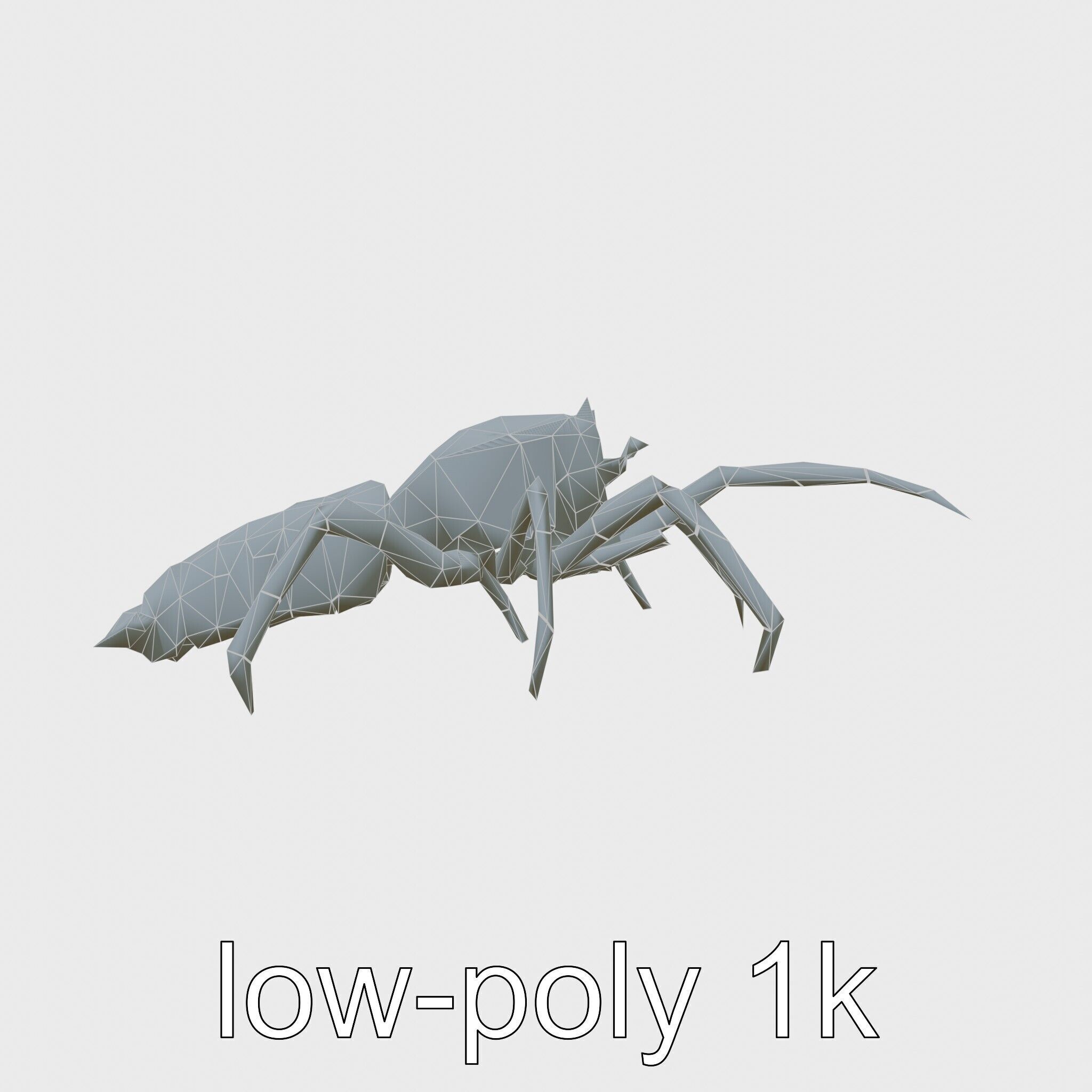 Japanese Spider Crab 3D Model with Spindly Legs Low-poly 3D model_7