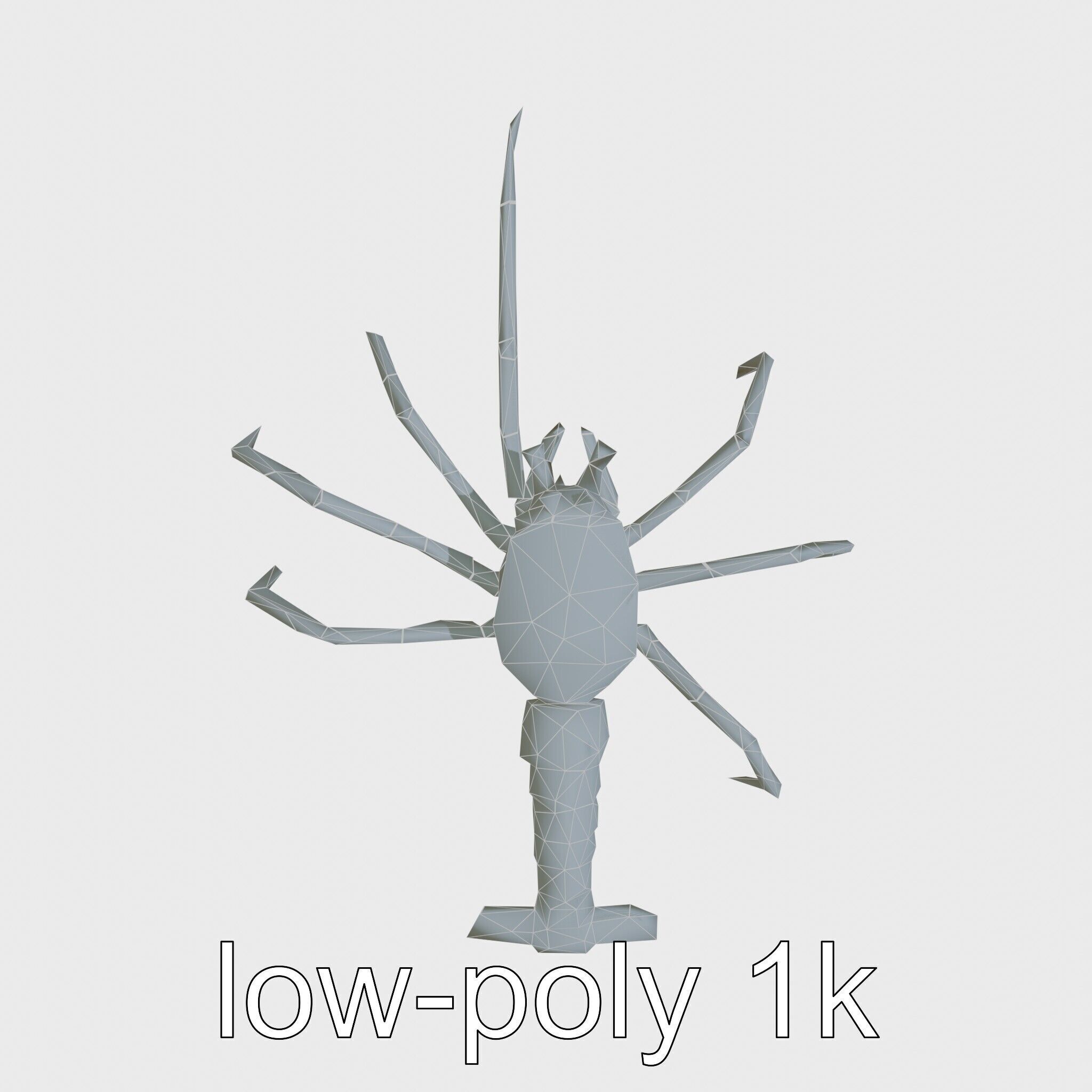 Japanese Spider Crab 3D Model with Spindly Legs Low-poly 3D model_22