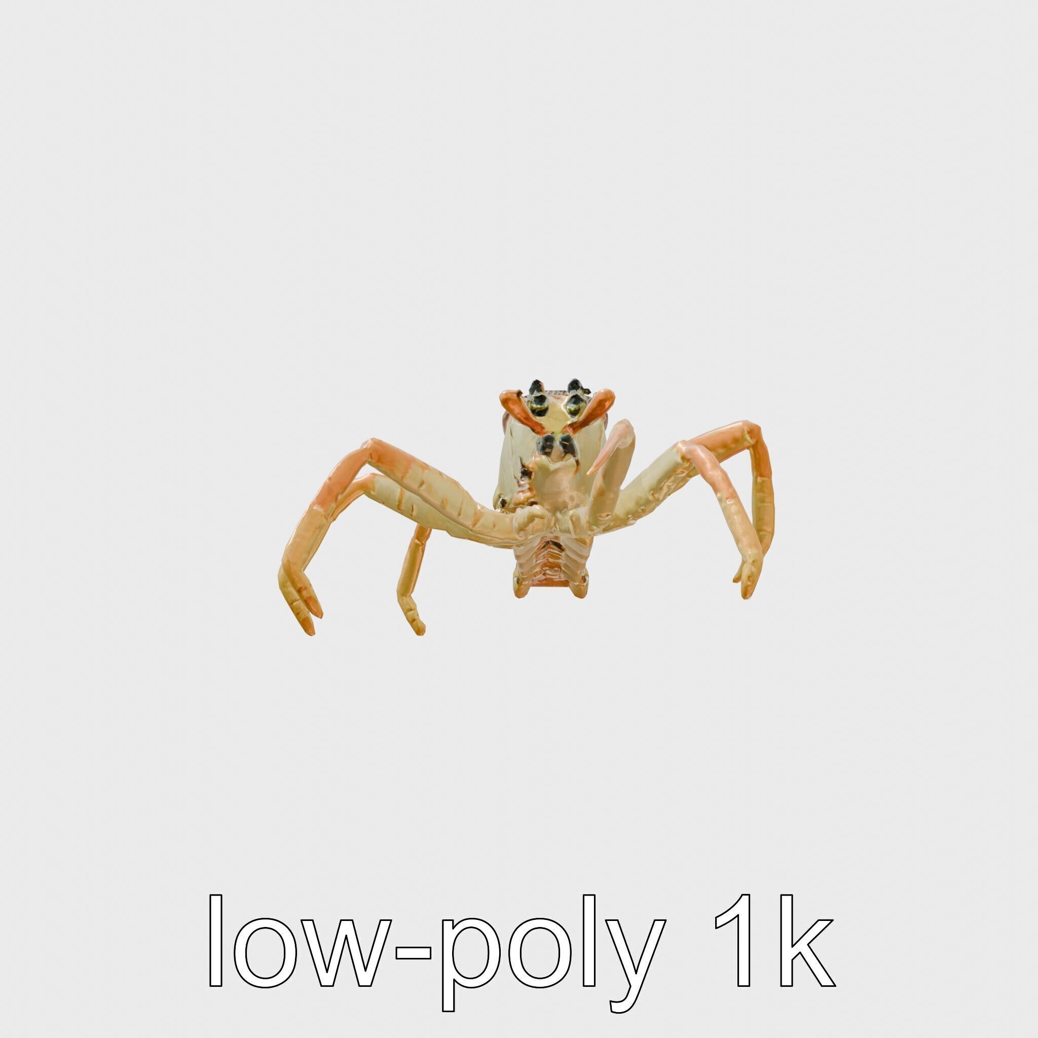 Japanese Spider Crab 3D Model with Spindly Legs Low-poly 3D model_28