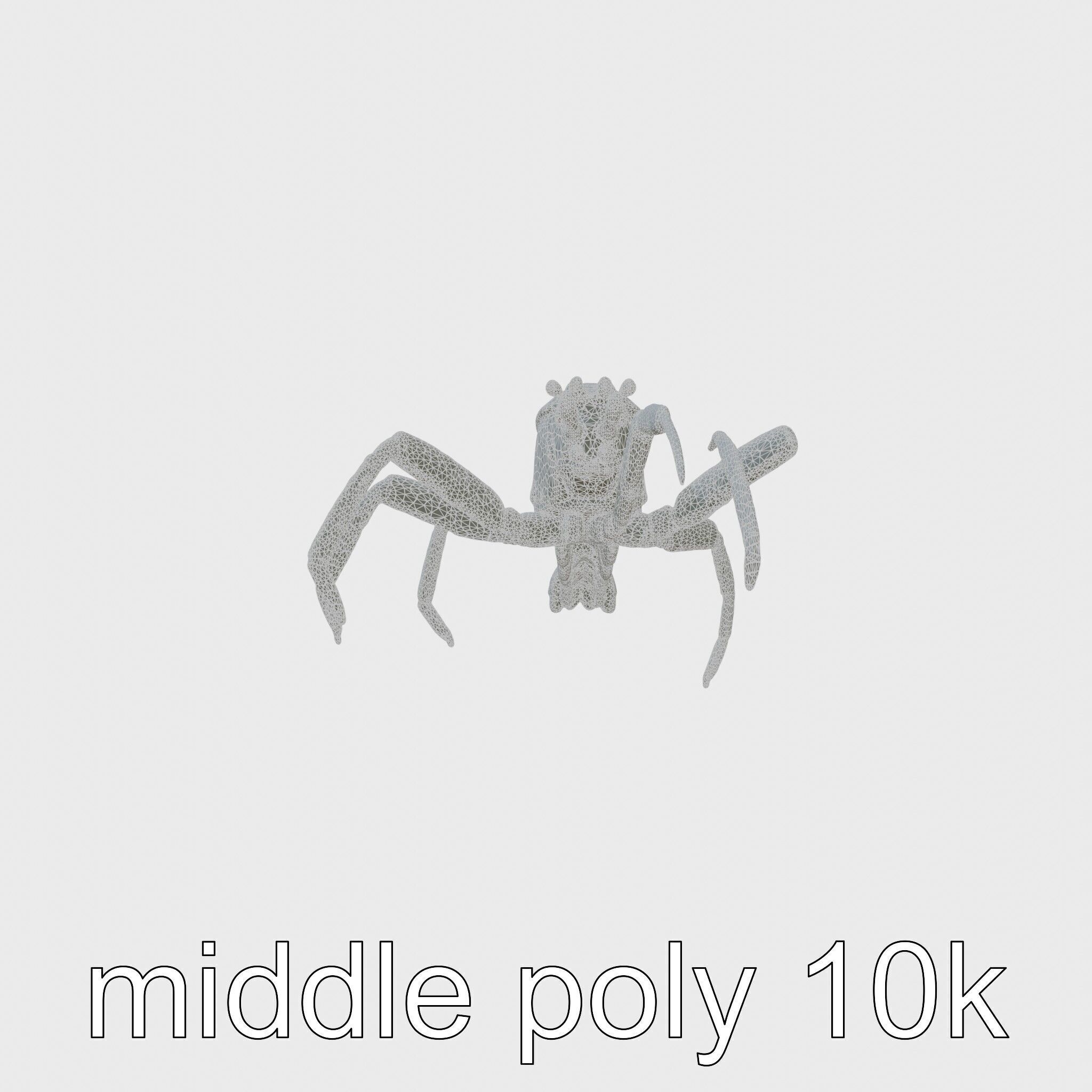 Japanese Spider Crab 3D Model with Spindly Legs Low-poly 3D model_23