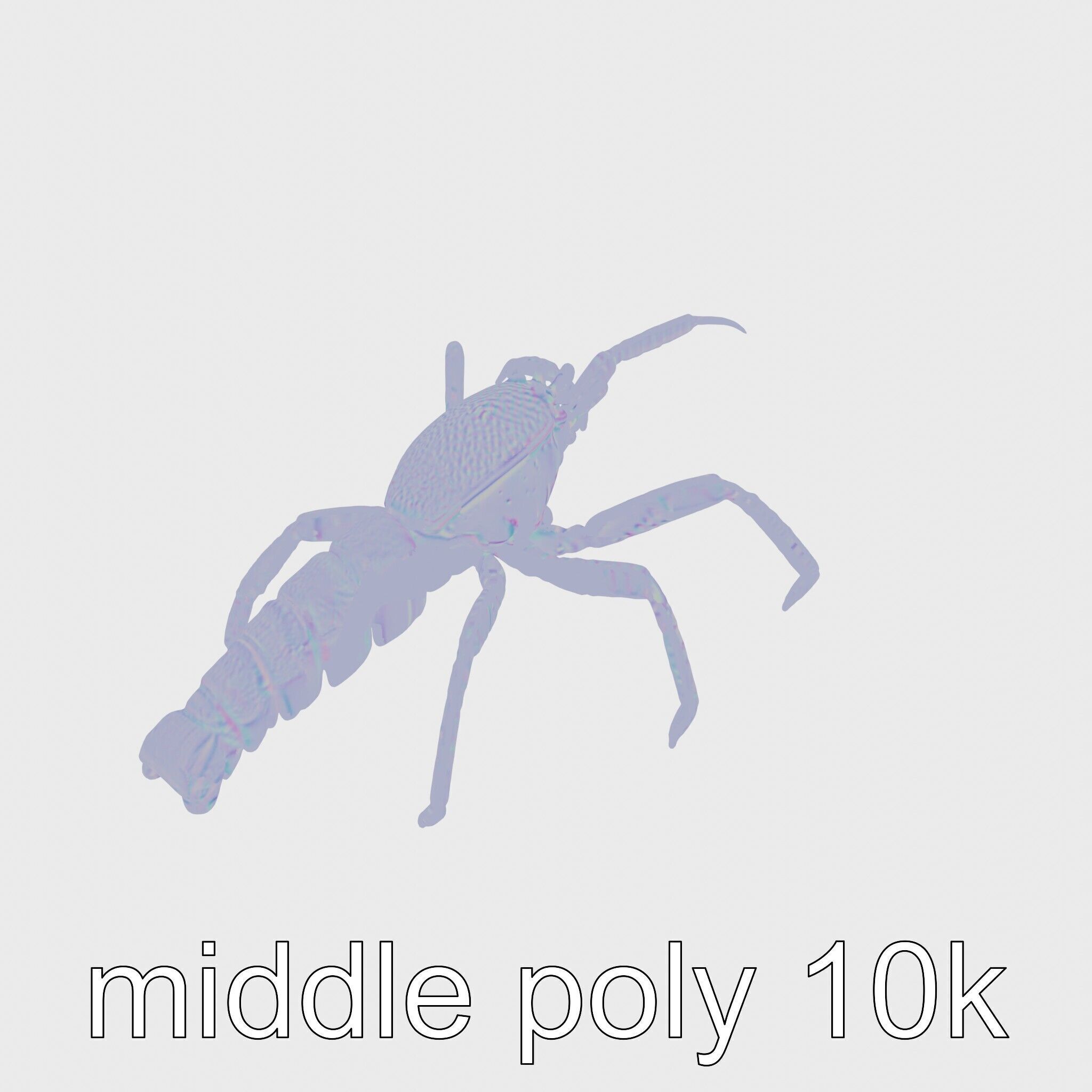 Japanese Spider Crab 3D Model with Spindly Legs Low-poly 3D model_17
