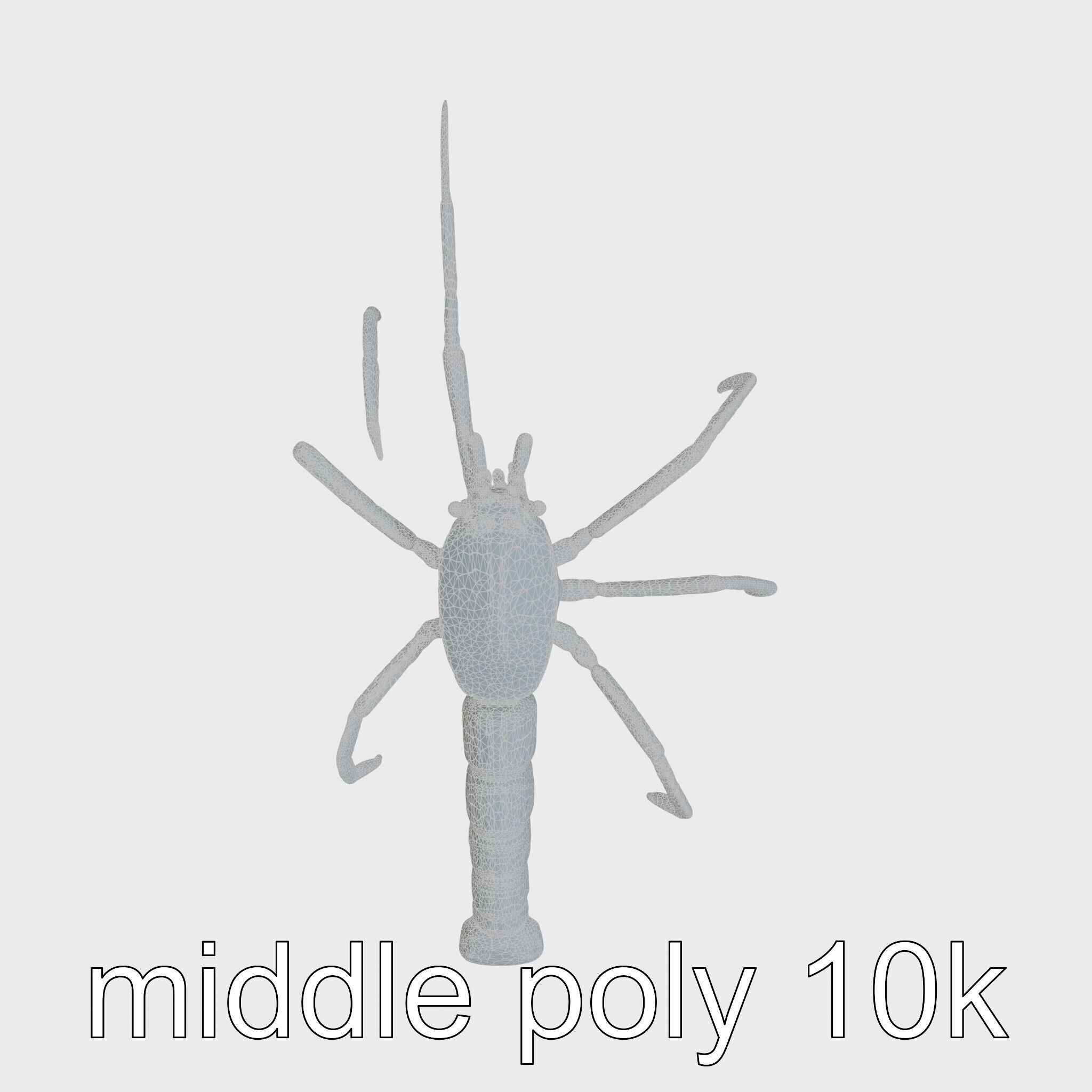 Japanese Spider Crab 3D Model with Spindly Legs Low-poly 3D model_14