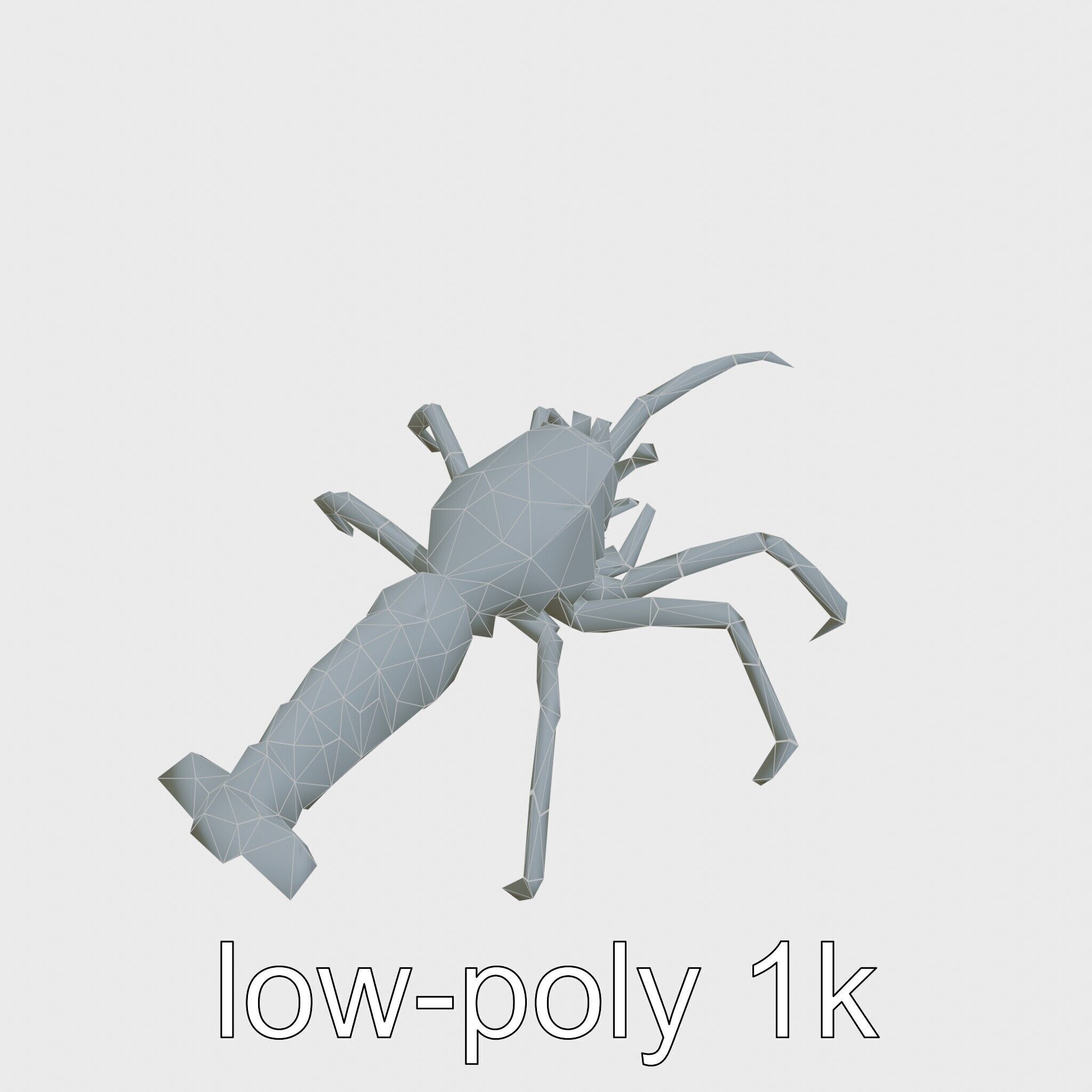 Japanese Spider Crab 3D Model with Spindly Legs Low-poly 3D model_27