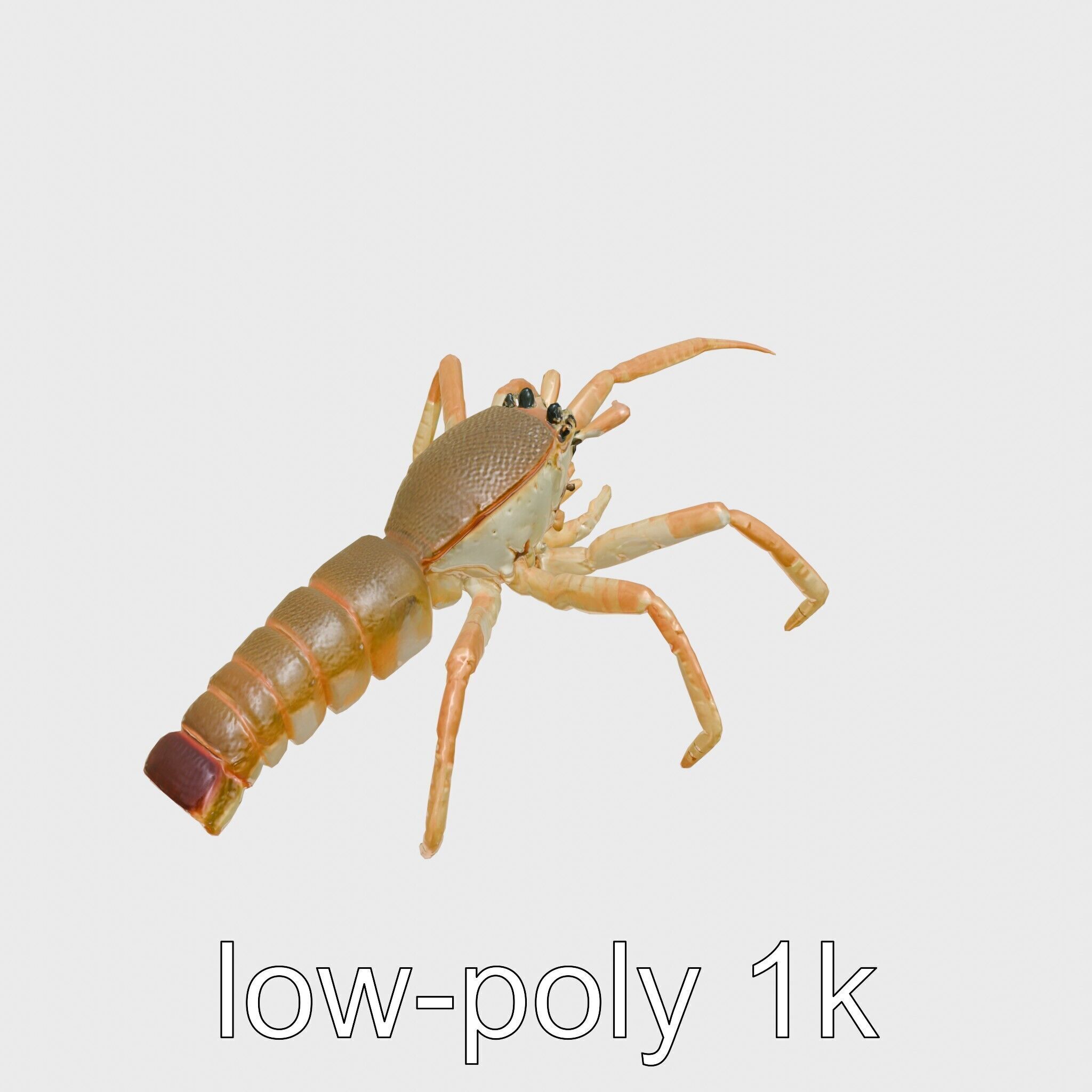 Japanese Spider Crab 3D Model with Spindly Legs Low-poly 3D model_16