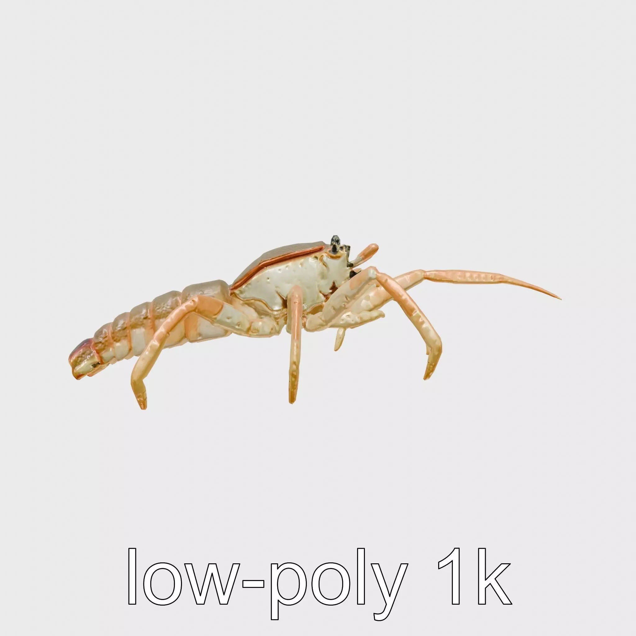 Japanese Spider Crab 3D Model with Spindly Legs Low-poly 3D model_0