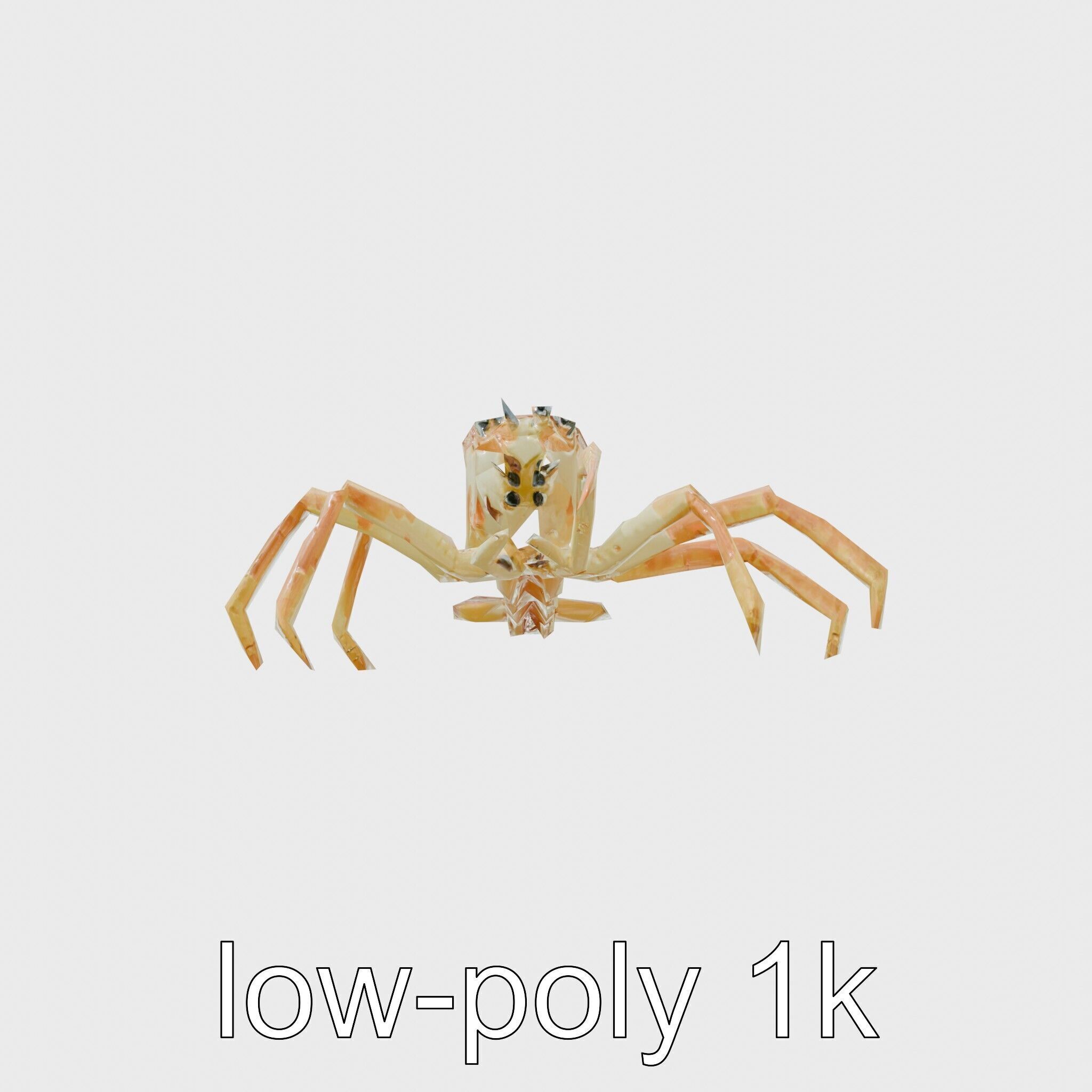 Japanese Spider Crab 3D Model with Spindly Legs Low-poly 3D model_11
