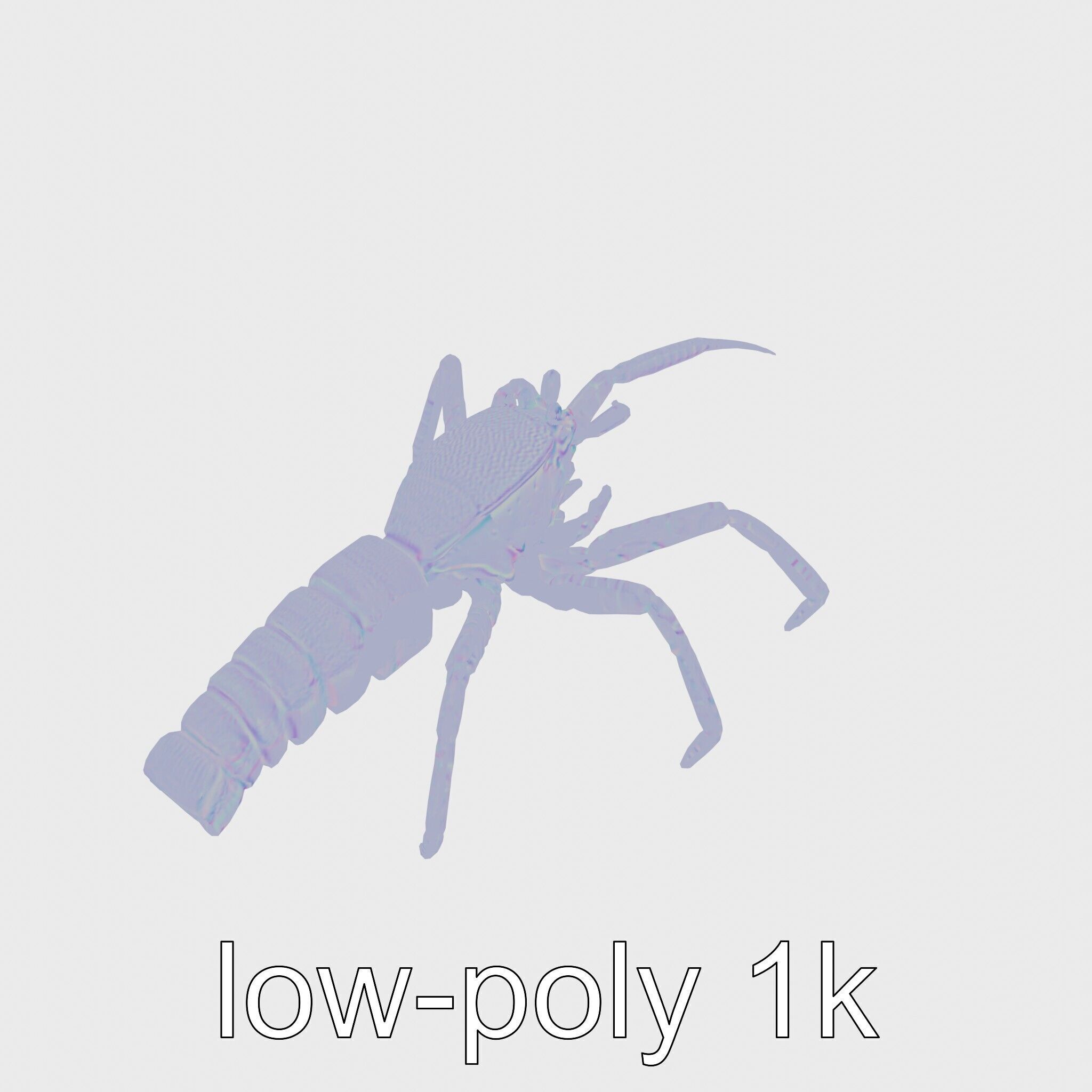 Japanese Spider Crab 3D Model with Spindly Legs Low-poly 3D model_21