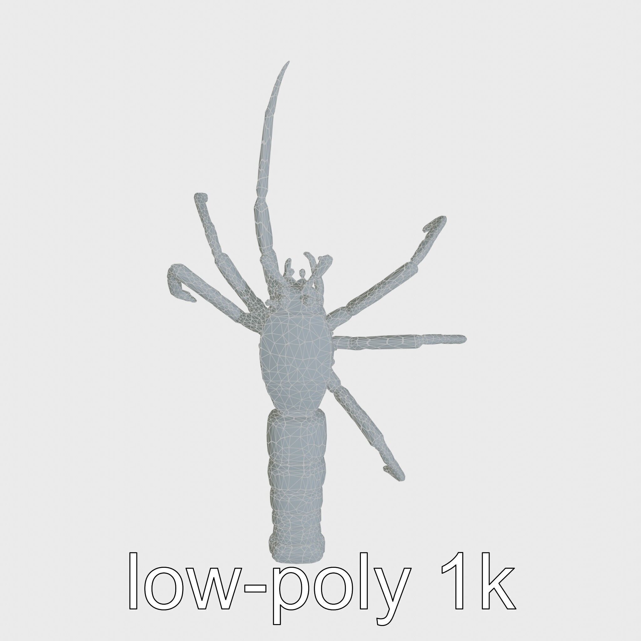 Japanese Spider Crab 3D Model with Spindly Legs Low-poly 3D model_12