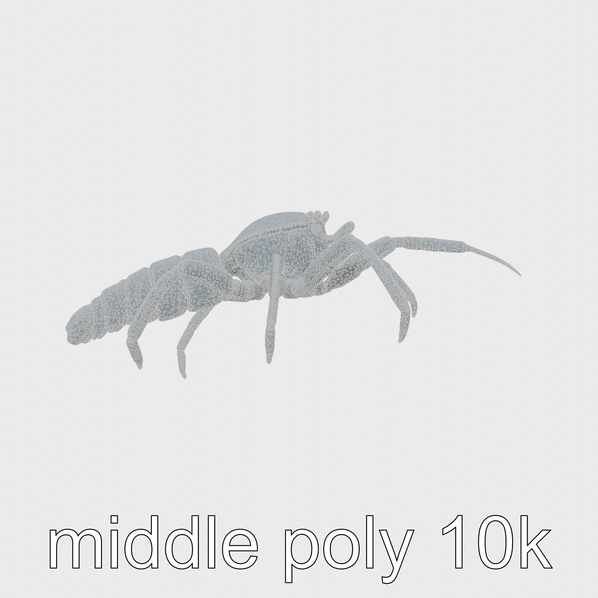 Japanese Spider Crab 3D Model with Spindly Legs Low-poly 3D model_8