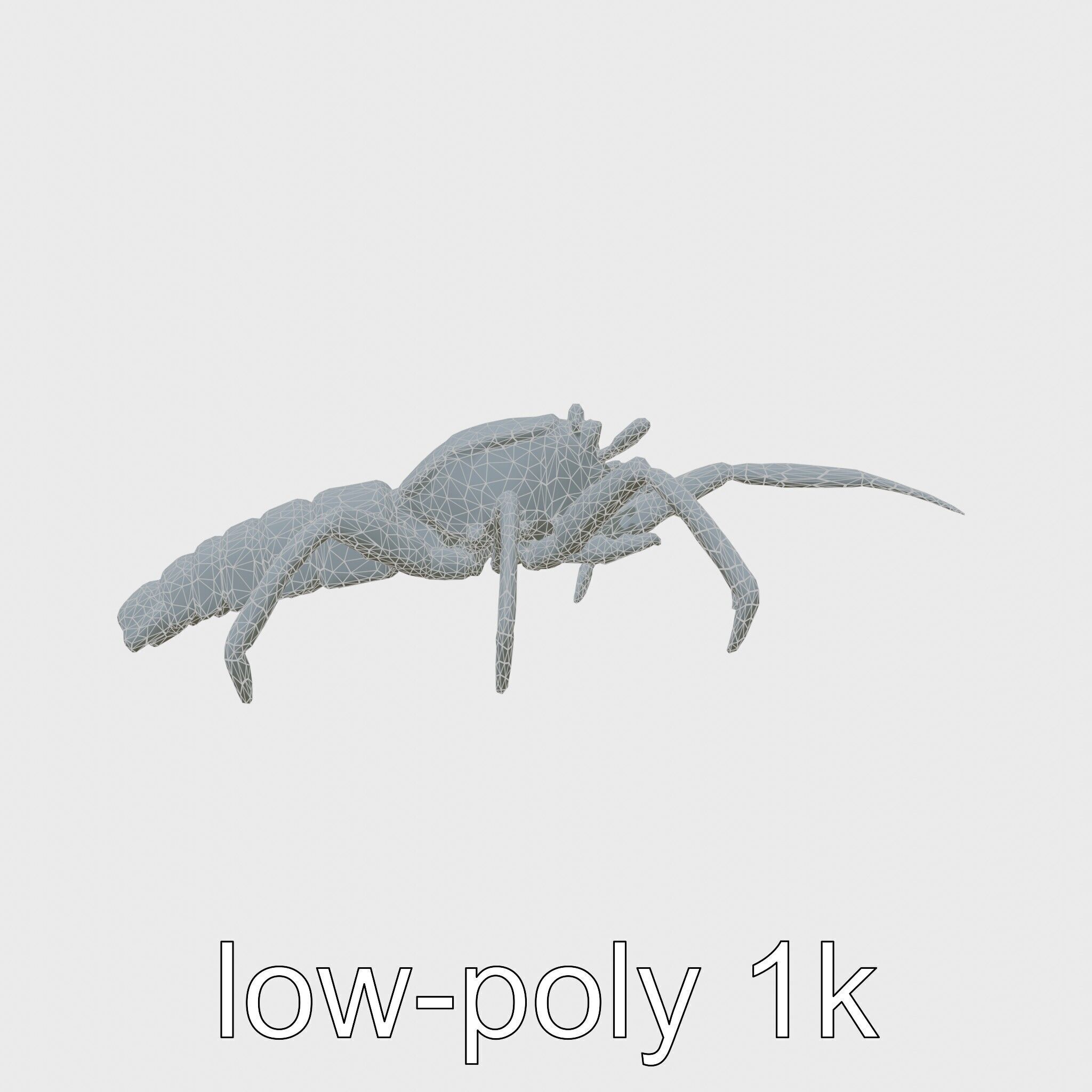 Japanese Spider Crab 3D Model with Spindly Legs Low-poly 3D model_6