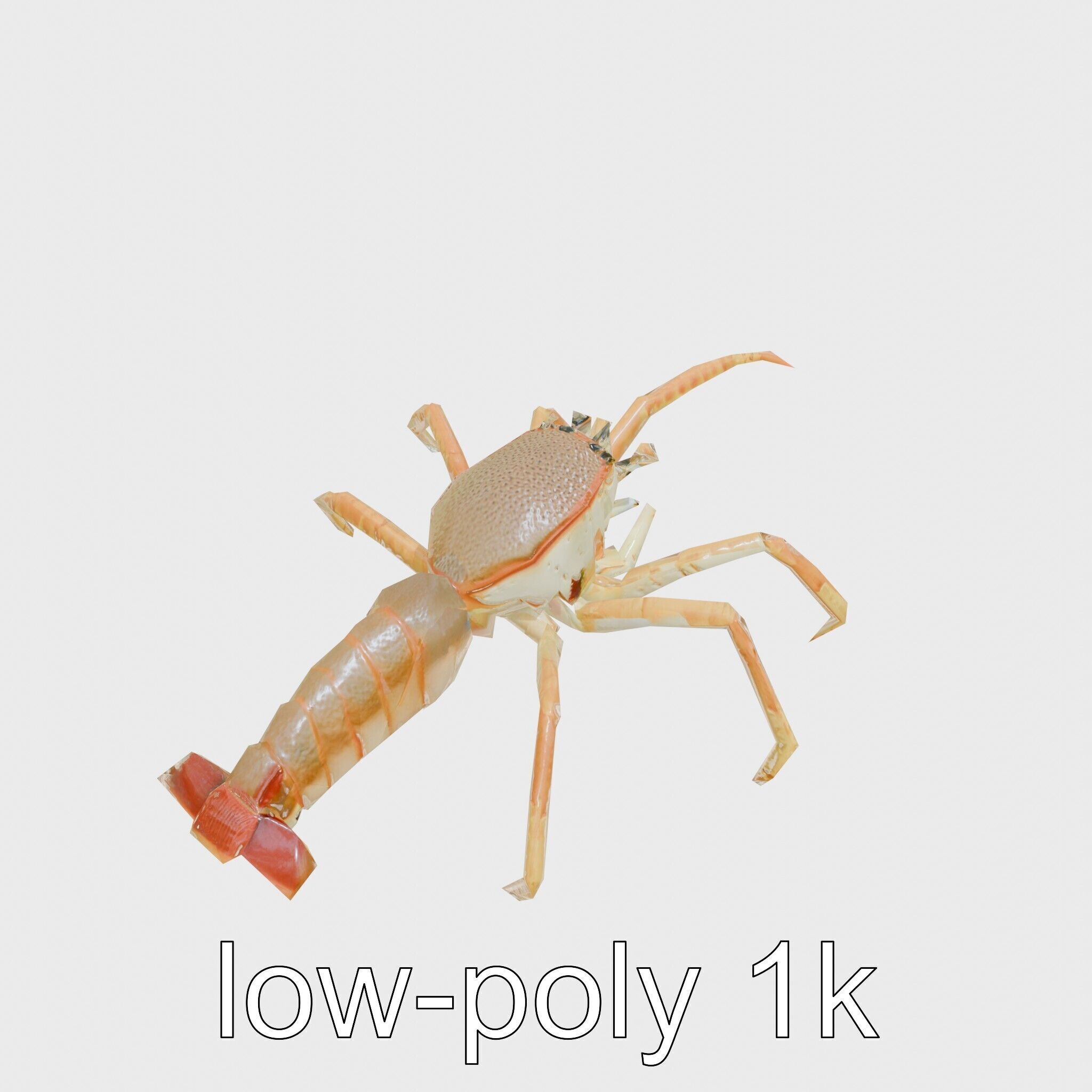 Japanese Spider Crab 3D Model with Spindly Legs Low-poly 3D model_13