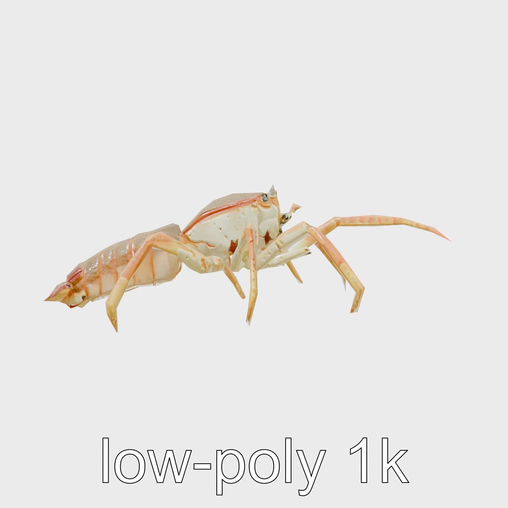 Japanese Spider Crab 3D Model with Spindly Legs Low-poly 3D model_4