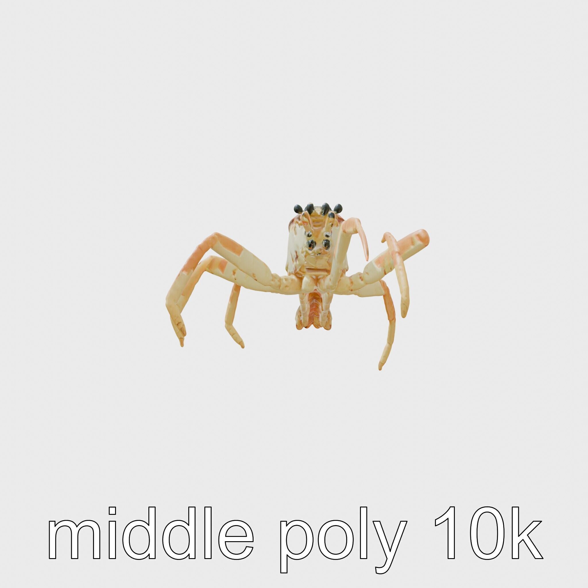 Japanese Spider Crab 3D Model with Spindly Legs Low-poly 3D model_2