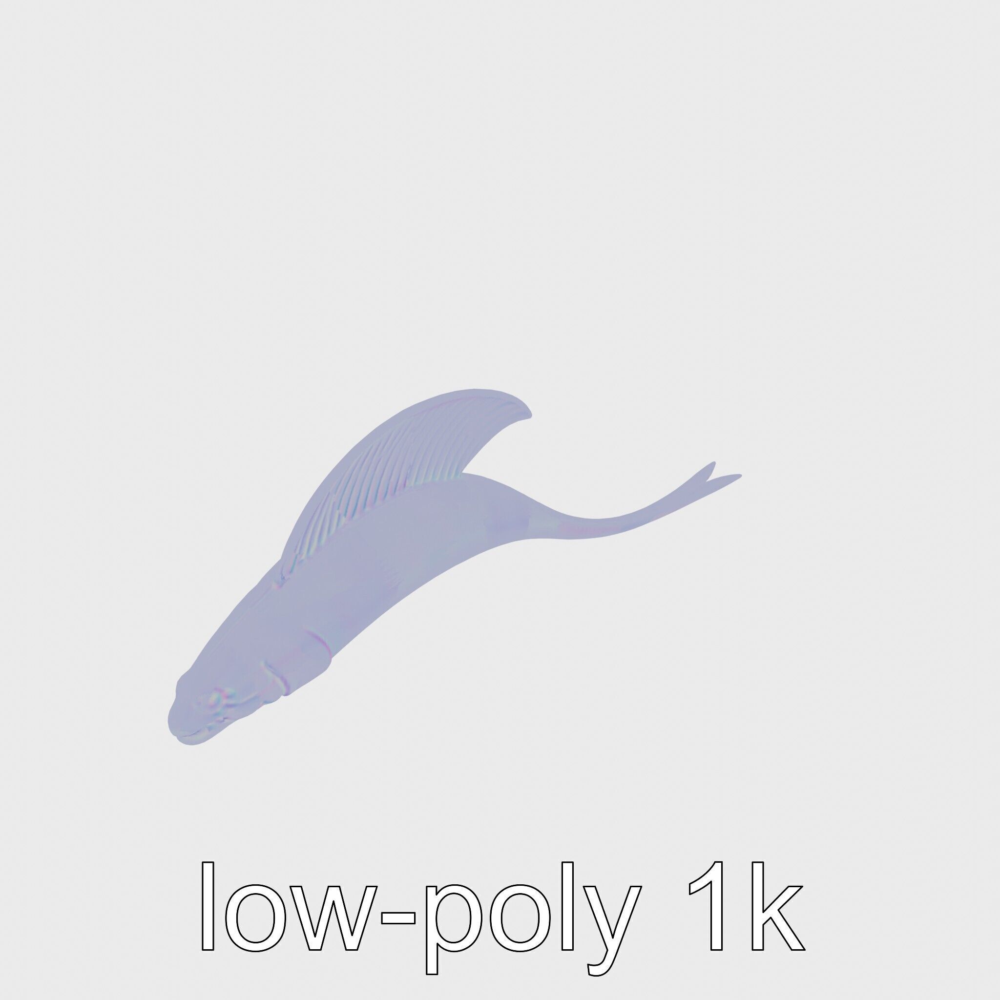 Ribbon Eel with Flowing Dorsal Fin 3D Model Low-poly 3D model_29