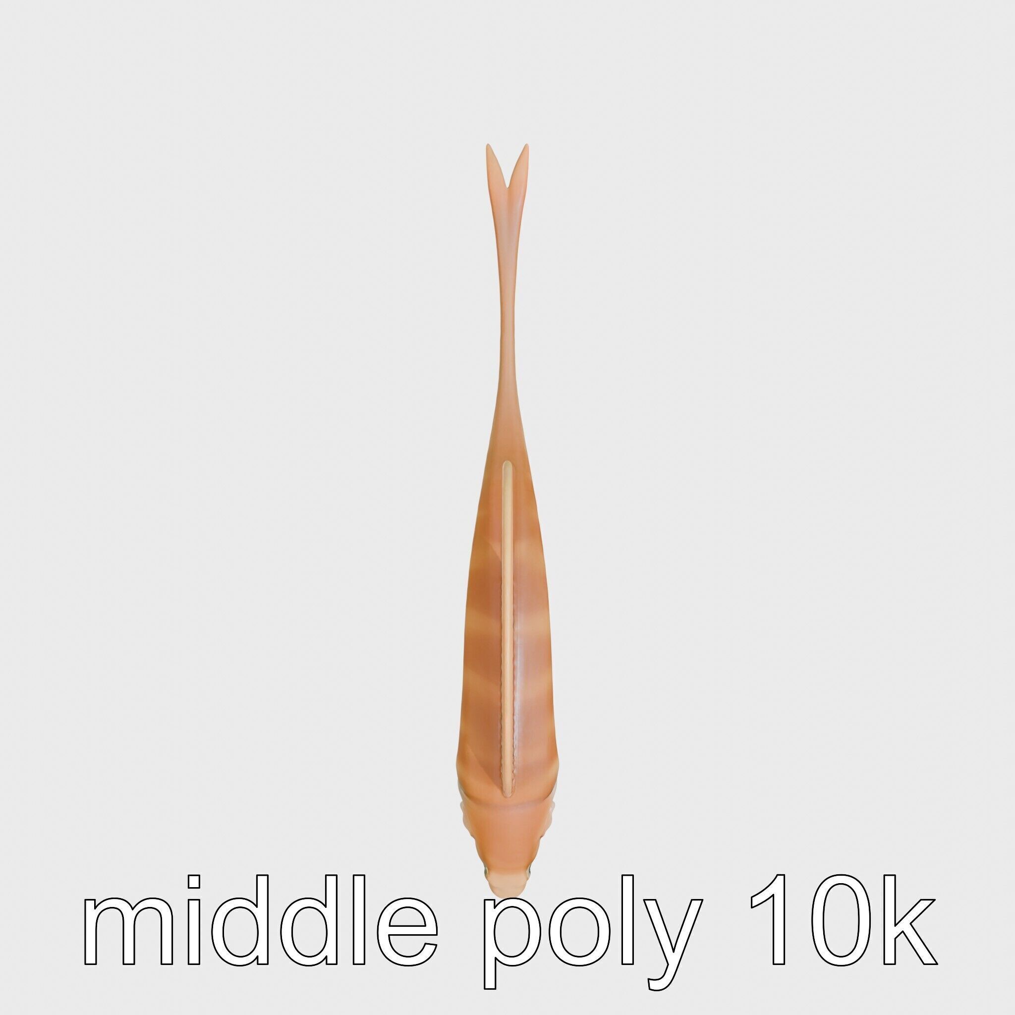 Ribbon Eel with Flowing Dorsal Fin 3D Model Low-poly 3D model_8