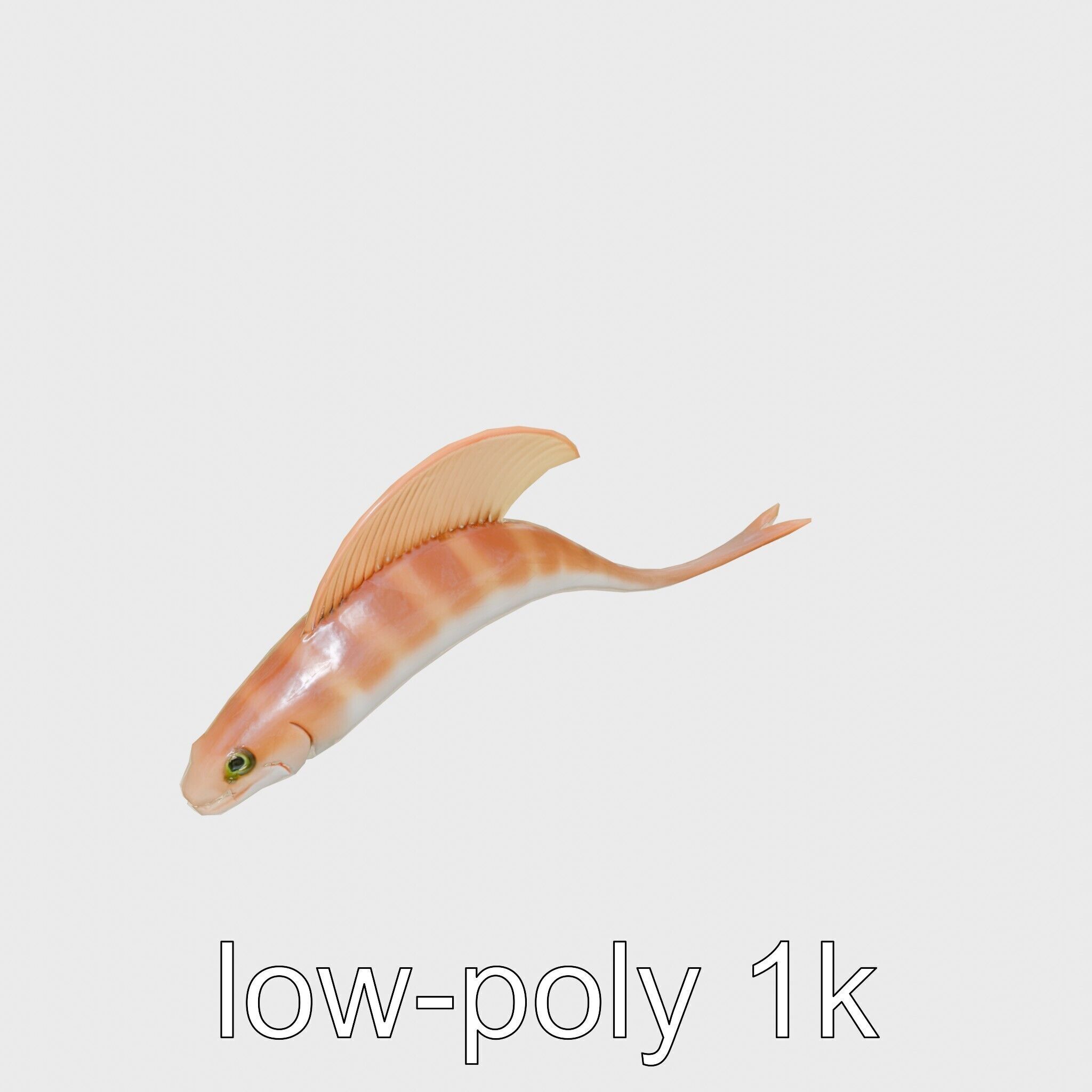 Ribbon Eel with Flowing Dorsal Fin 3D Model Low-poly 3D model_10