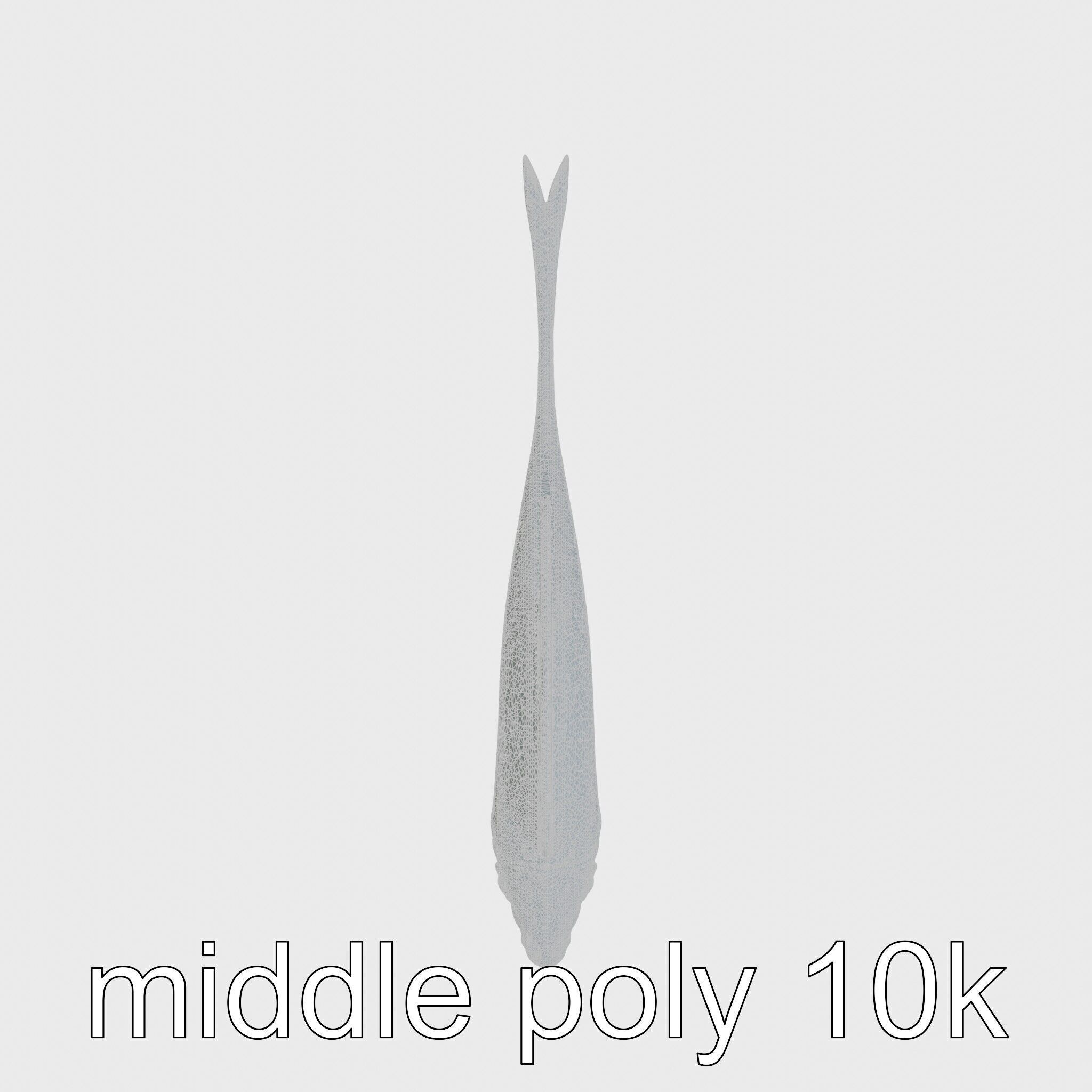 Ribbon Eel with Flowing Dorsal Fin 3D Model Low-poly 3D model_14