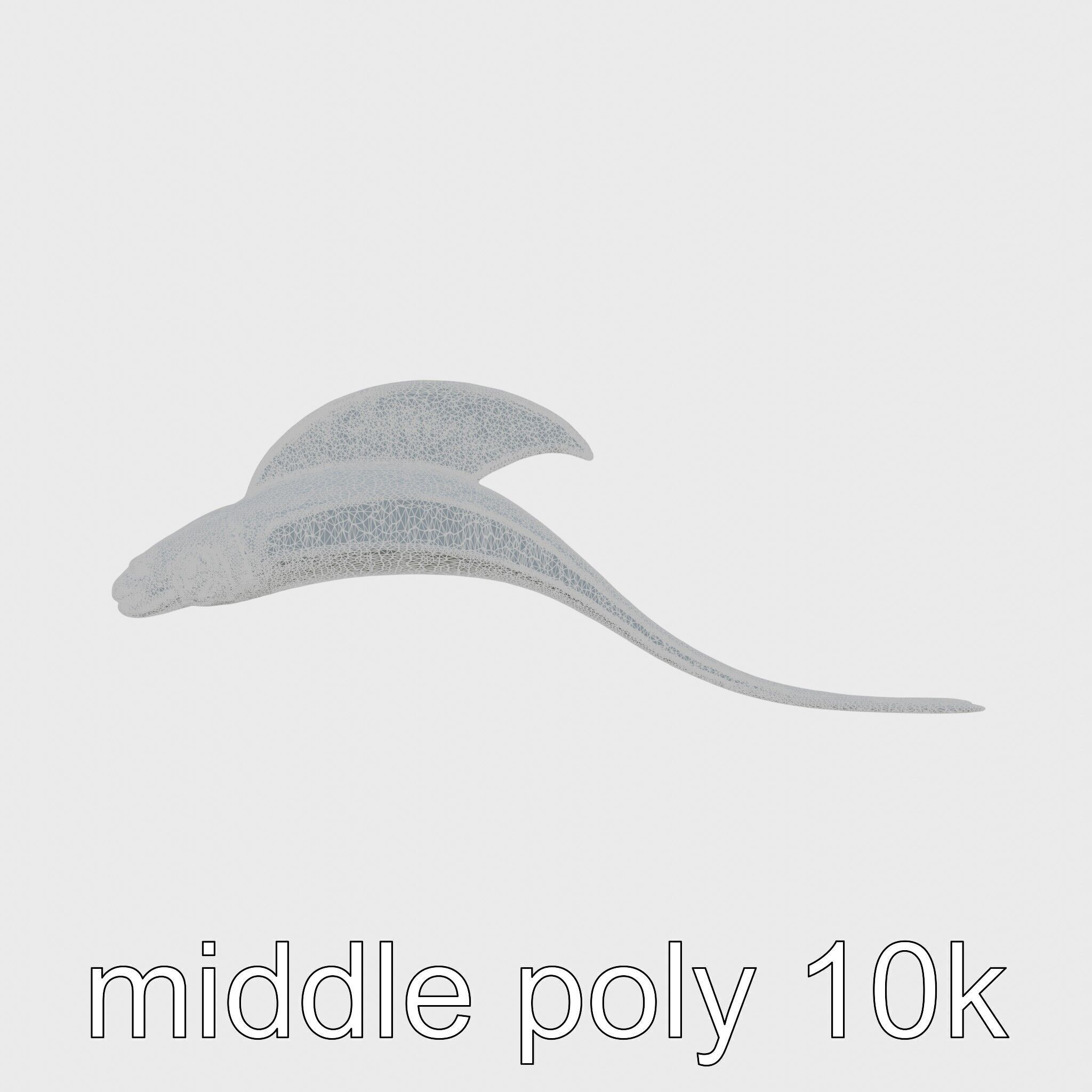 Ribbon Eel with Flowing Dorsal Fin 3D Model Low-poly 3D model_5