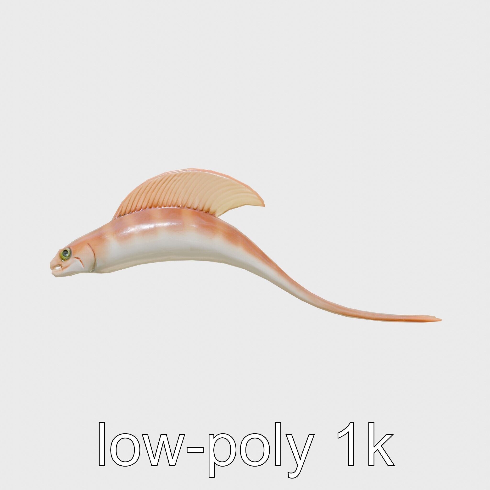 Ribbon Eel with Flowing Dorsal Fin 3D Model Low-poly 3D model_11
