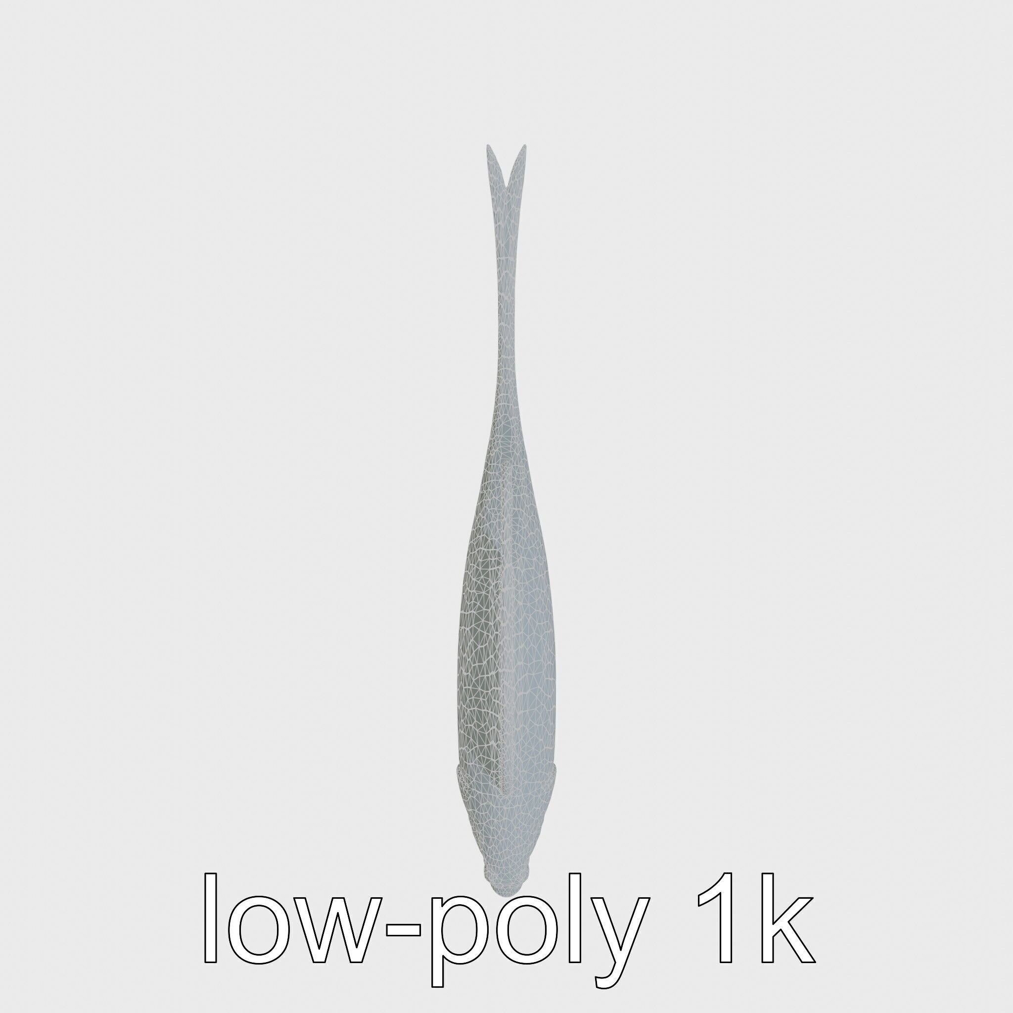 Ribbon Eel with Flowing Dorsal Fin 3D Model Low-poly 3D model_17