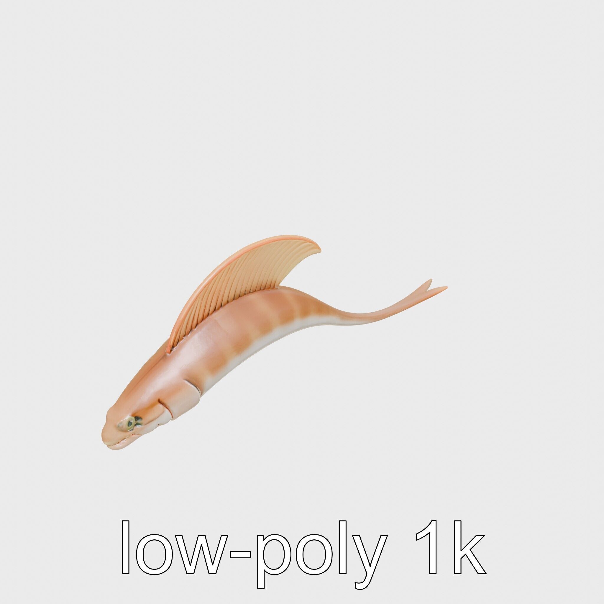 Ribbon Eel with Flowing Dorsal Fin 3D Model Low-poly 3D model_20