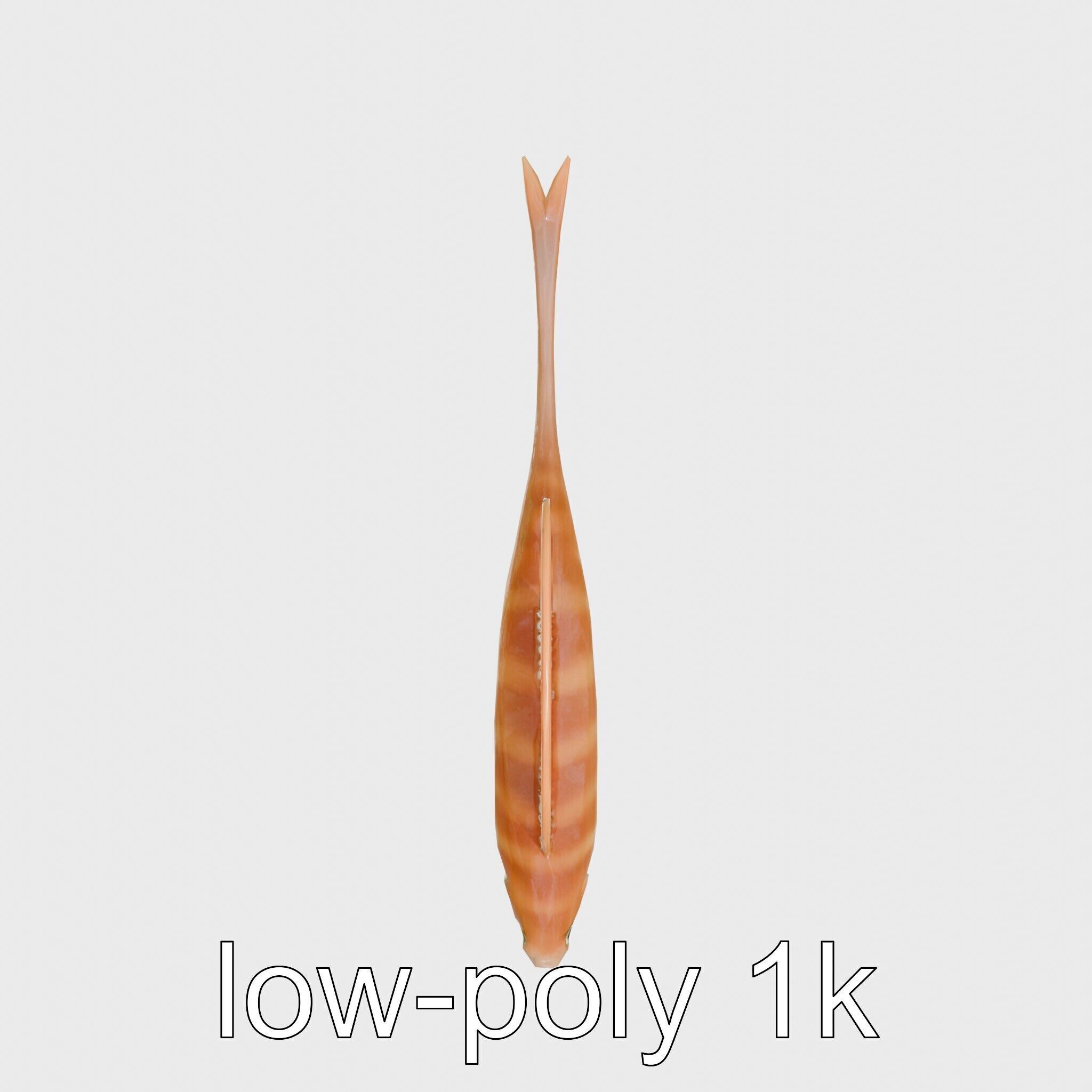 Ribbon Eel with Flowing Dorsal Fin 3D Model Low-poly 3D model_16