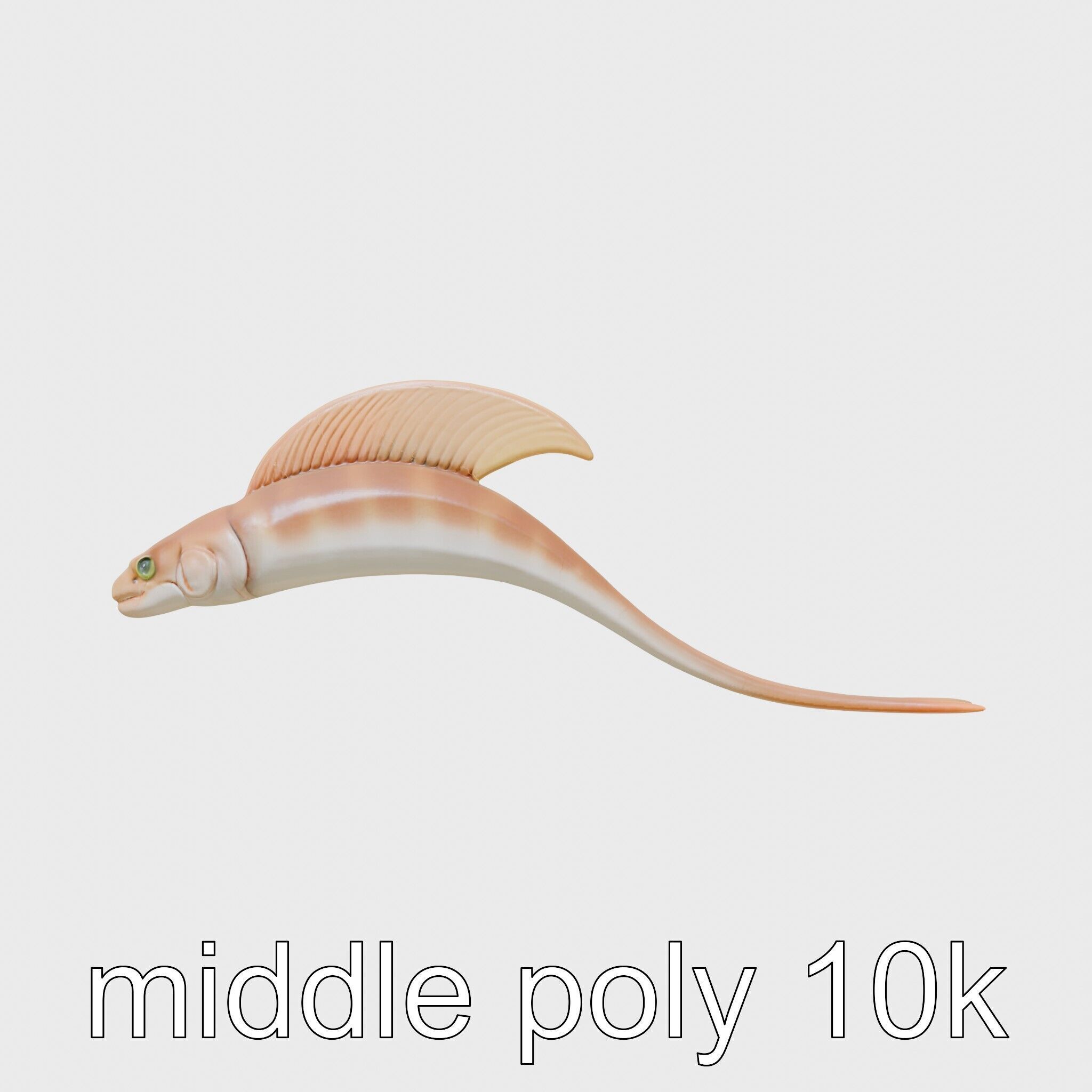 Ribbon Eel with Flowing Dorsal Fin 3D Model Low-poly 3D model_2