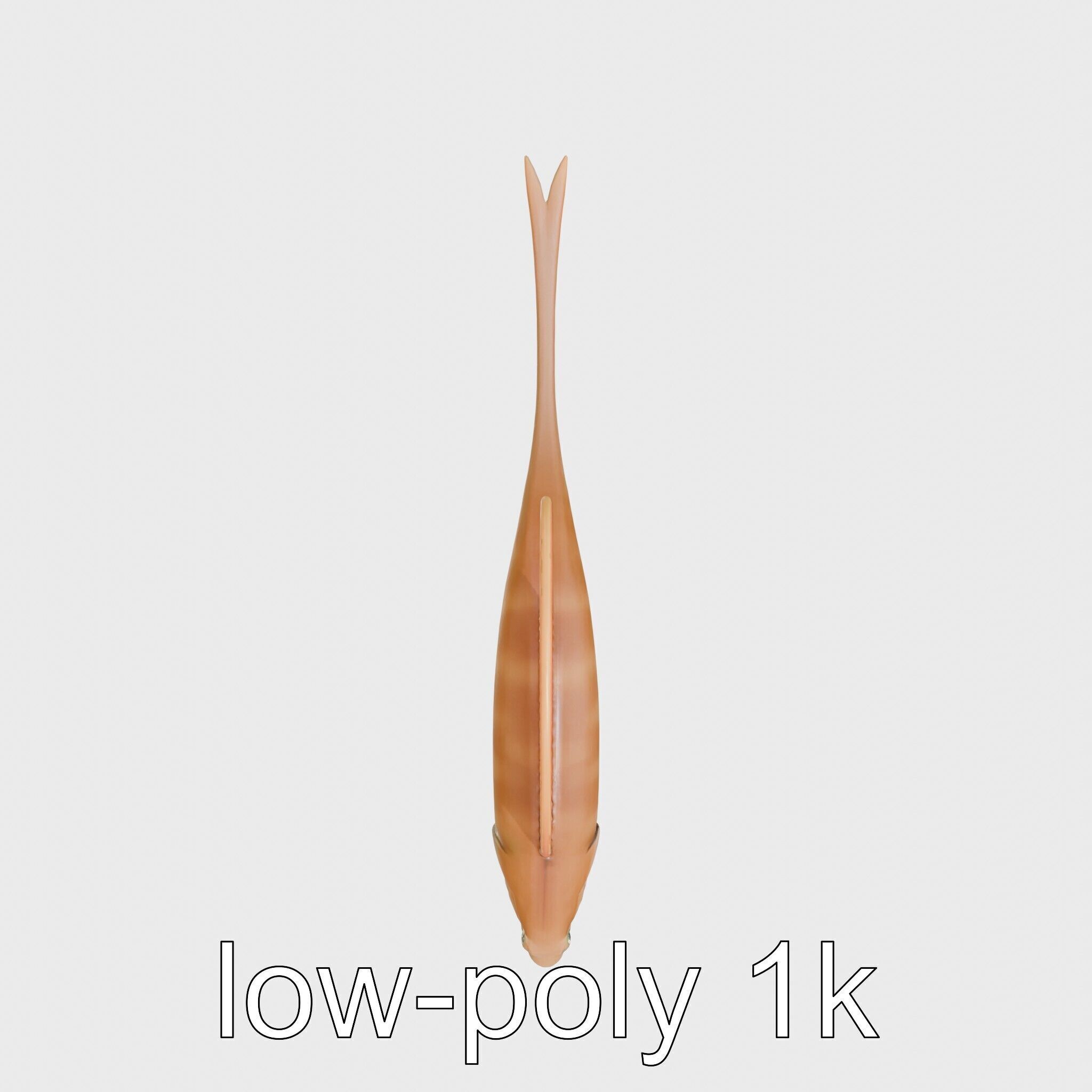 Ribbon Eel with Flowing Dorsal Fin 3D Model Low-poly 3D model_19