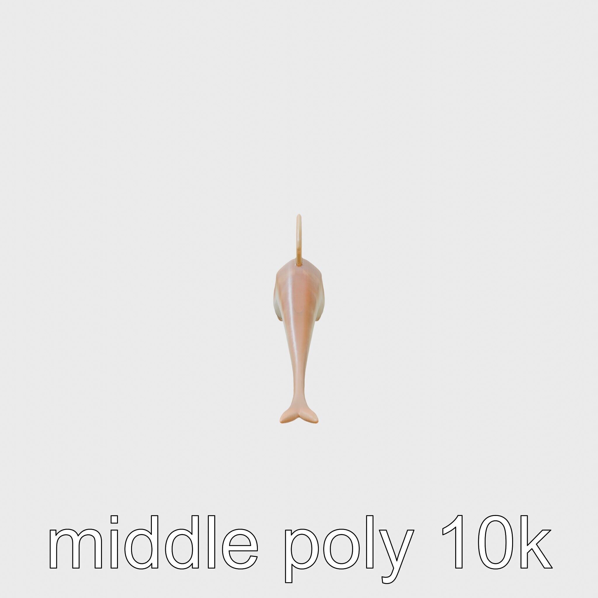 Ribbon Eel with Flowing Dorsal Fin 3D Model Low-poly 3D model_13