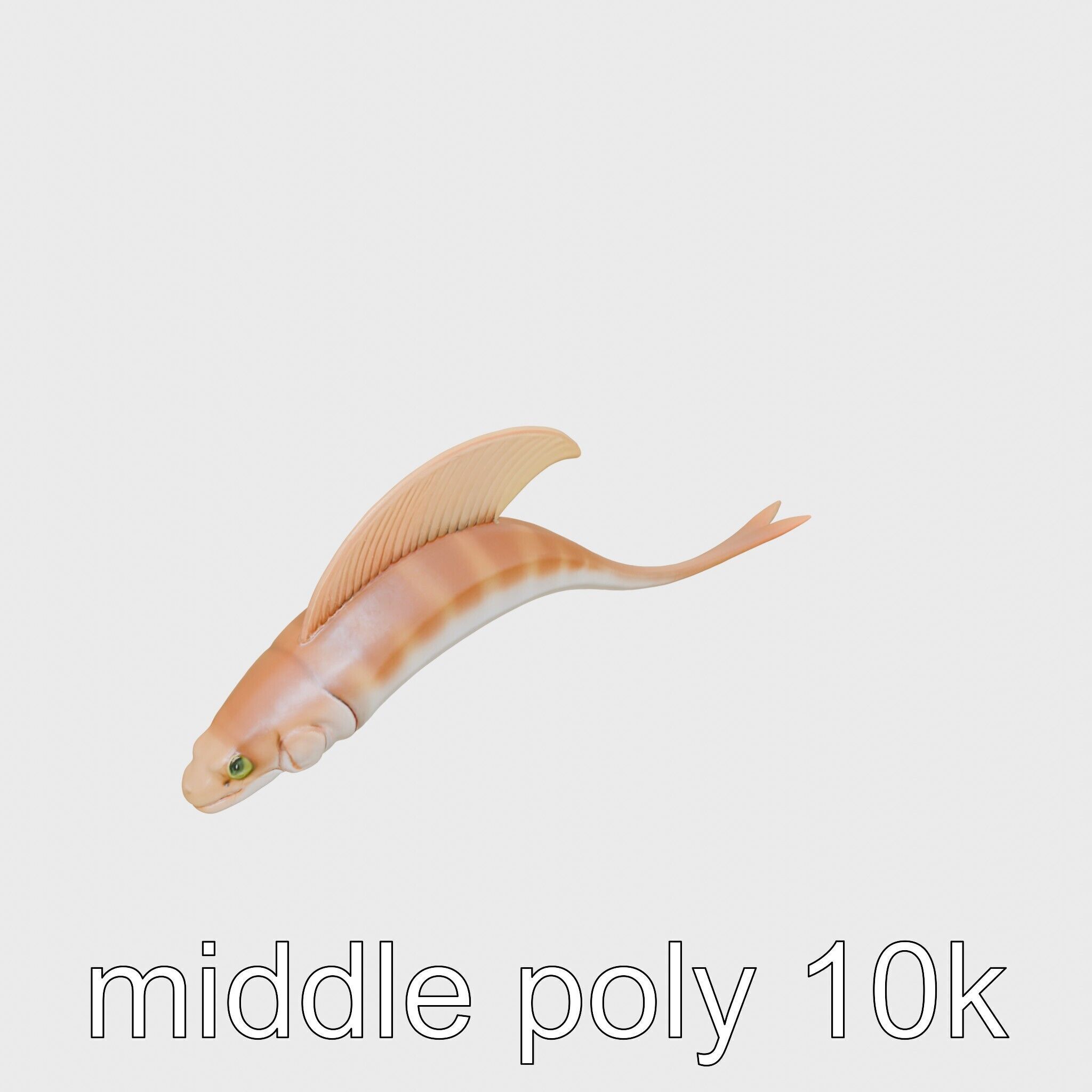 Ribbon Eel with Flowing Dorsal Fin 3D Model Low-poly 3D model_21