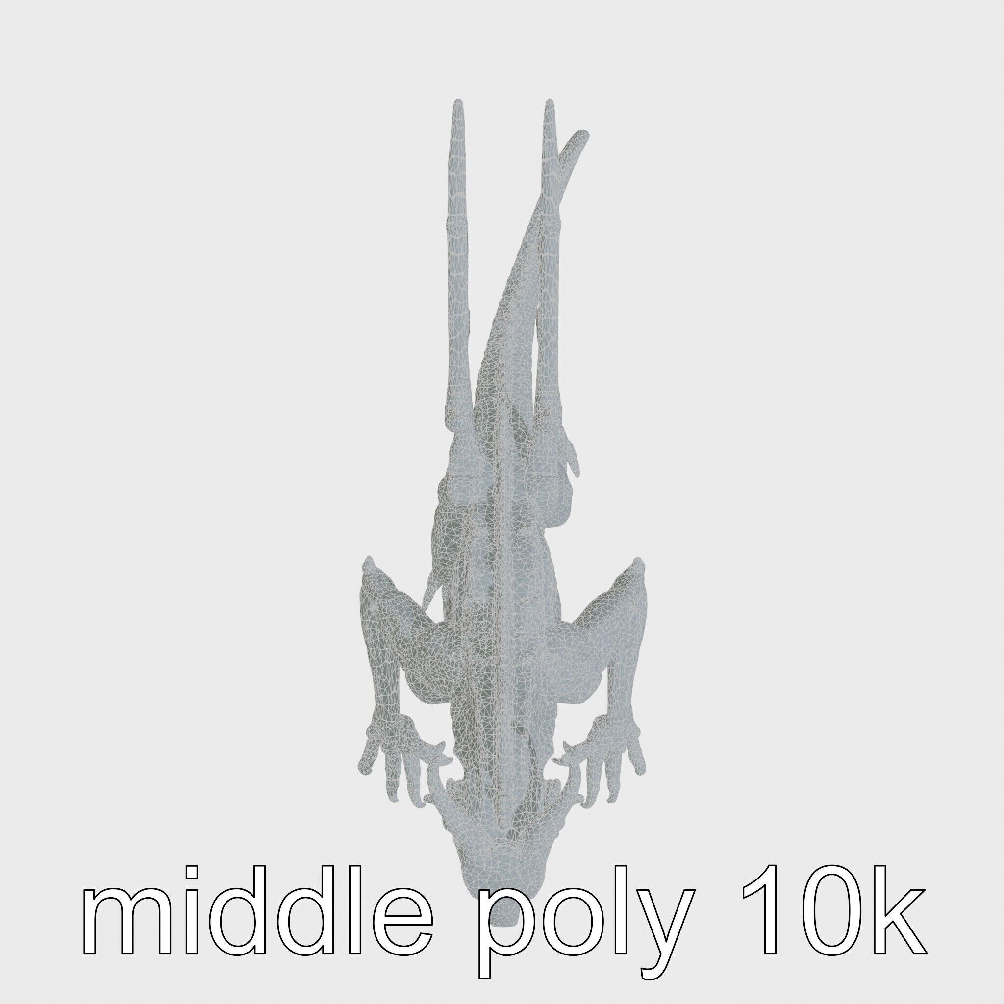 Shadow Dragon 3D Model with Darkness Manipulation Low-poly 3D model_28