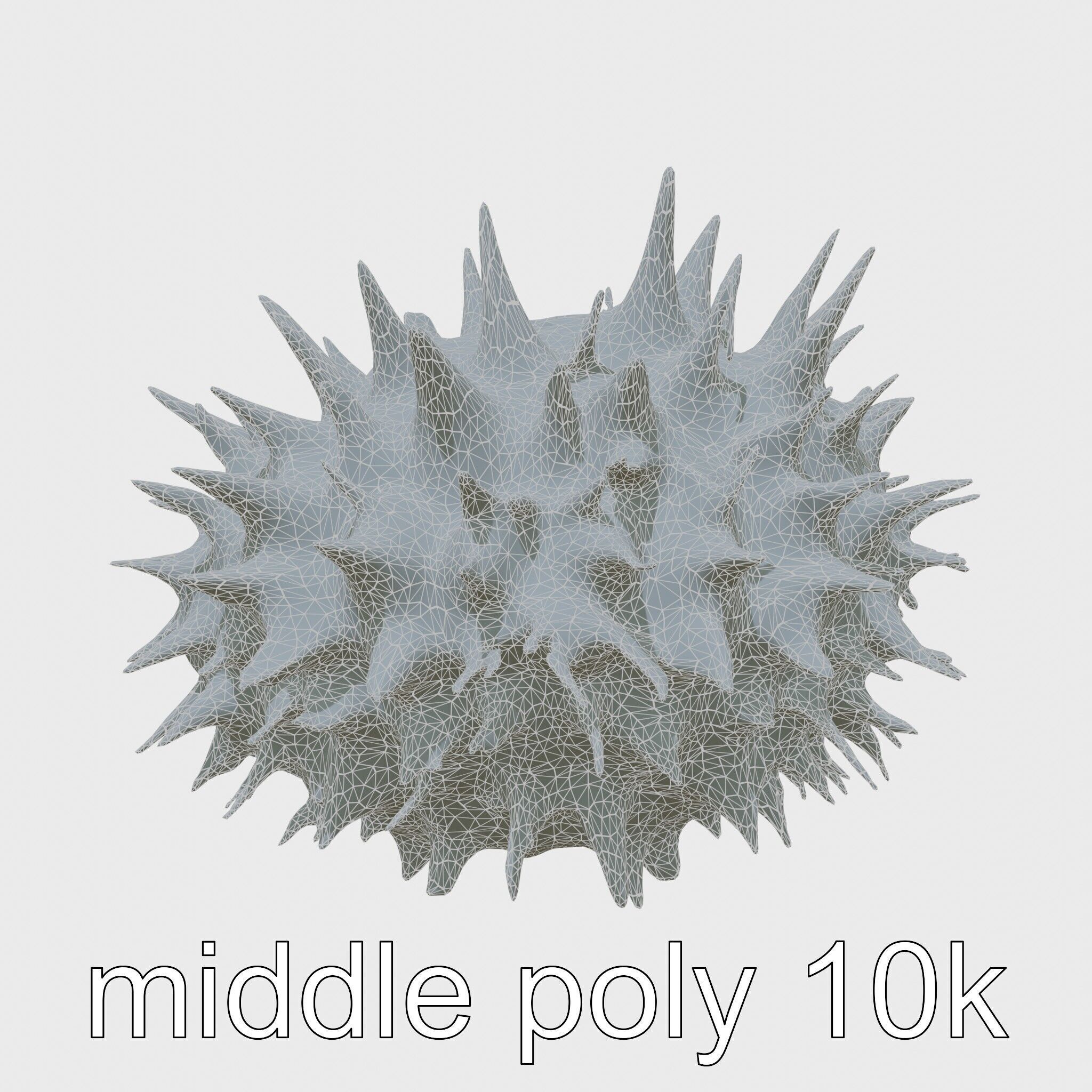 Venomous Fire Urchin with Spines Low-poly 3D model_5