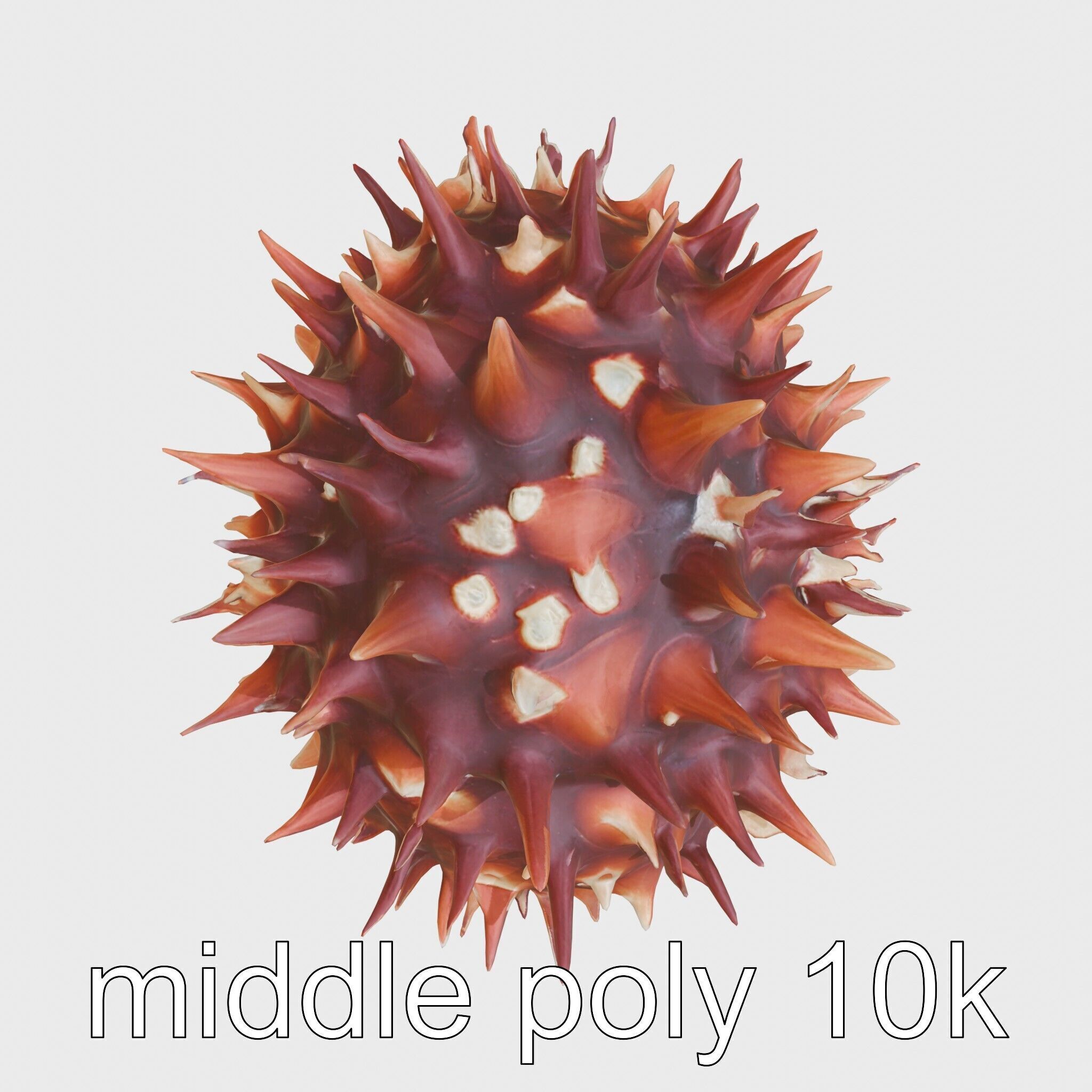 Venomous Fire Urchin with Spines Low-poly 3D model_8