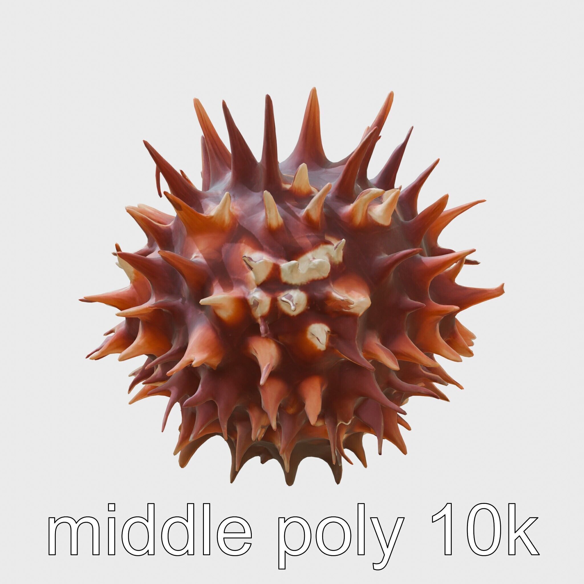 Venomous Fire Urchin with Spines Low-poly 3D model_28